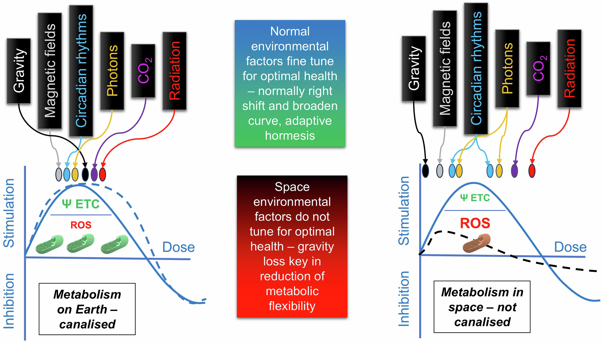 Fig. 5: Life in the Goldilocks zone and beyond.