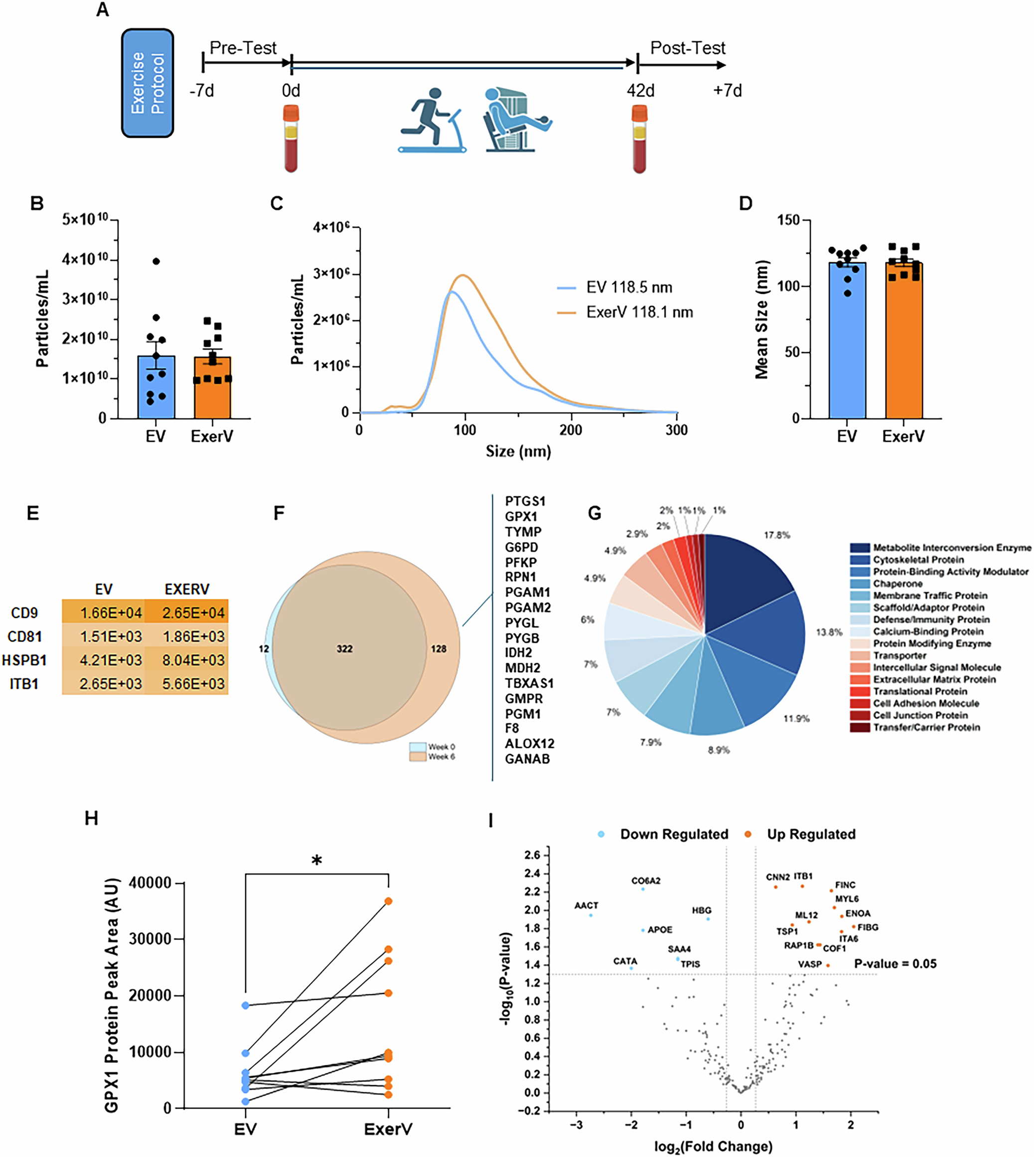 fob price for glutathione 6000 injectable Human plasma extracellular vesicles as an exercise mimetic to preserve  skeletal muscle plasticity during disuse