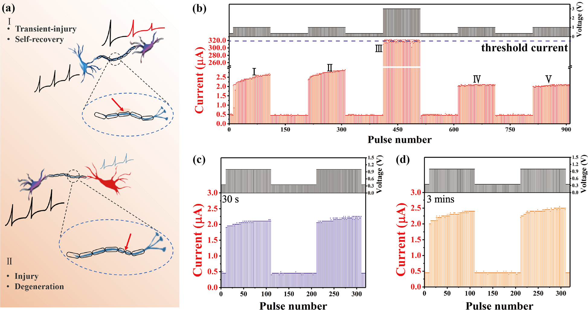 Fig. 5: Emulation of the nerve injuries by mild stimuli.