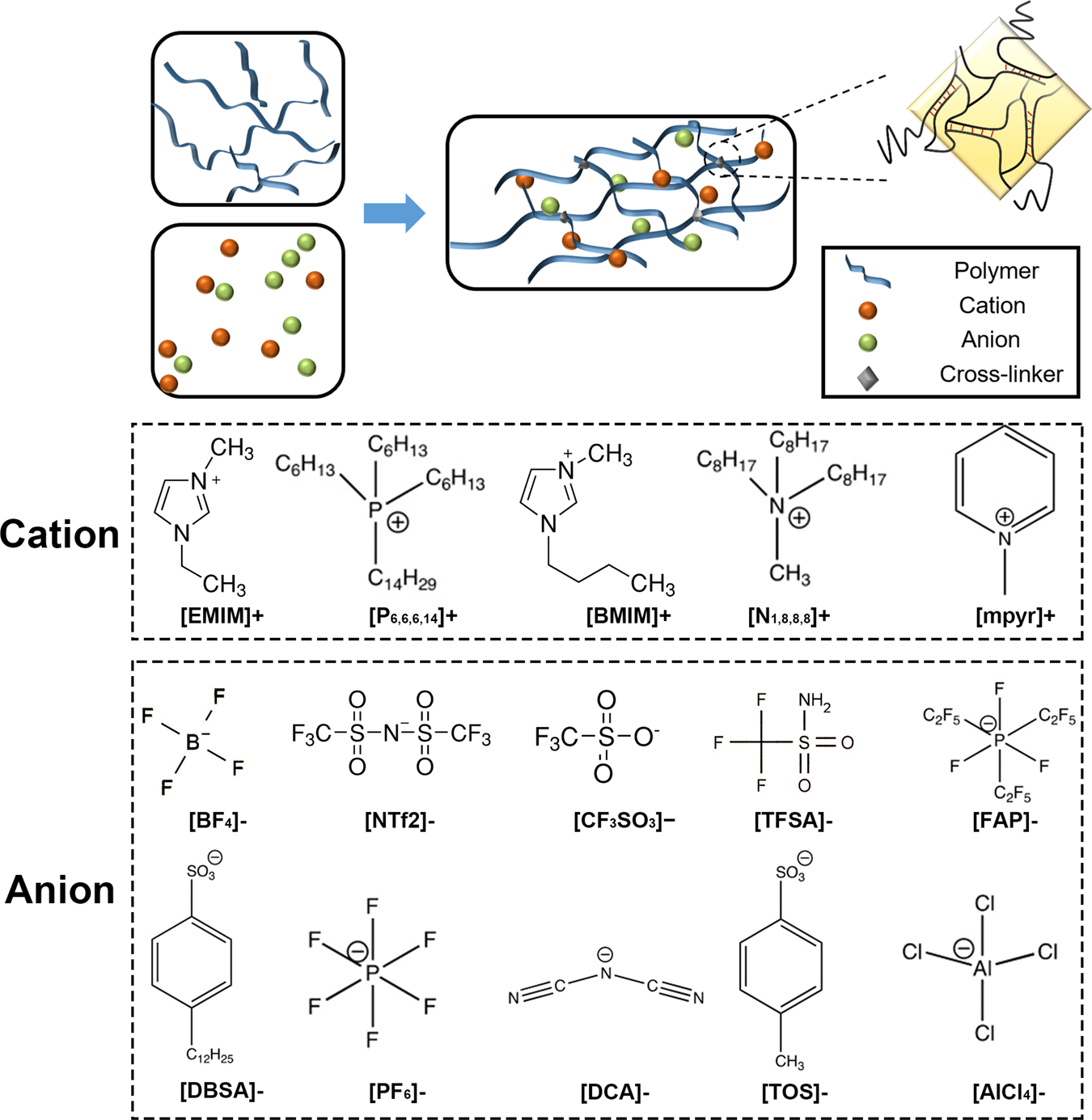 Fig. 2: The type of ionic-gel structure.