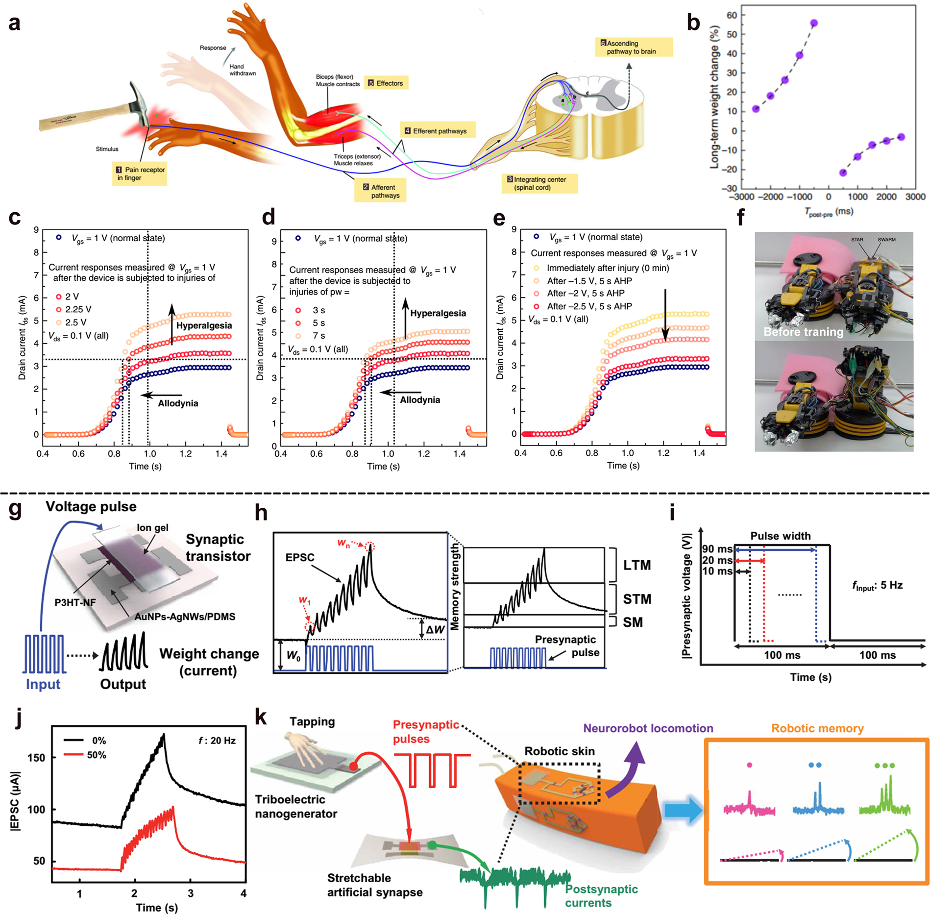 Fig. 8: The function of artificial synapse realized by IGT.