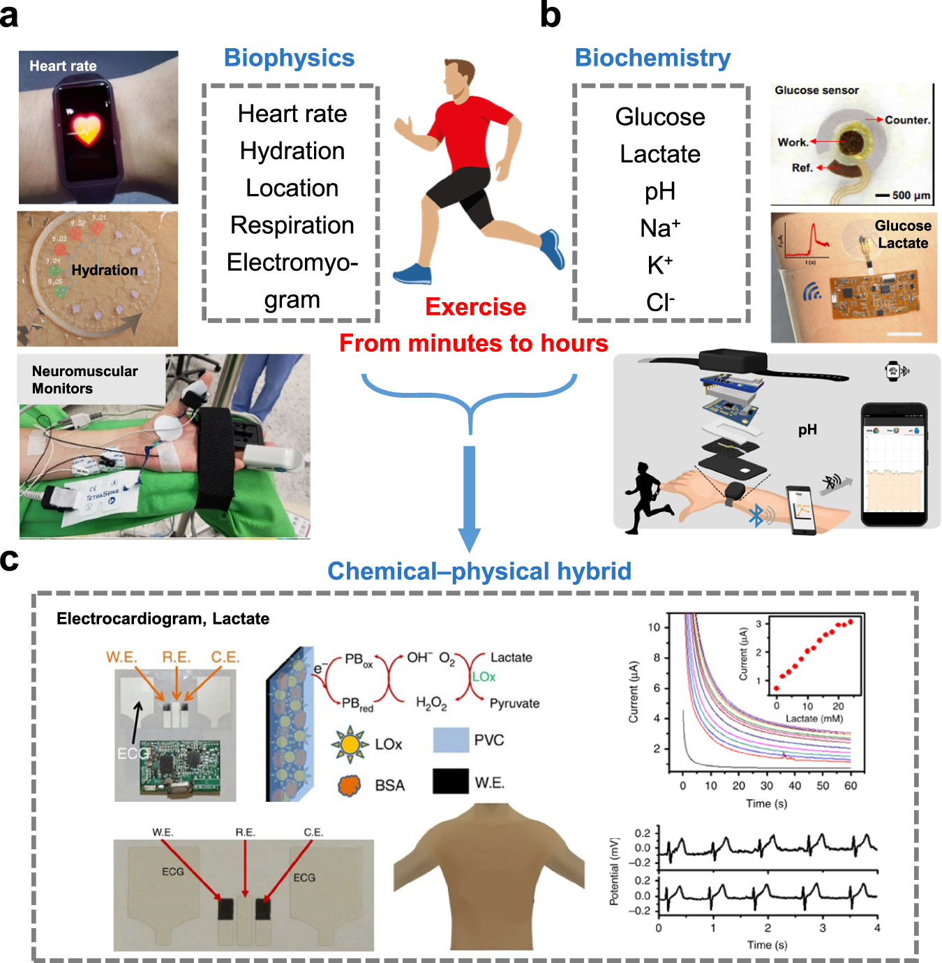 Fig. 7: Miniaturized sensor technologies for long-term monitoring of exercise.