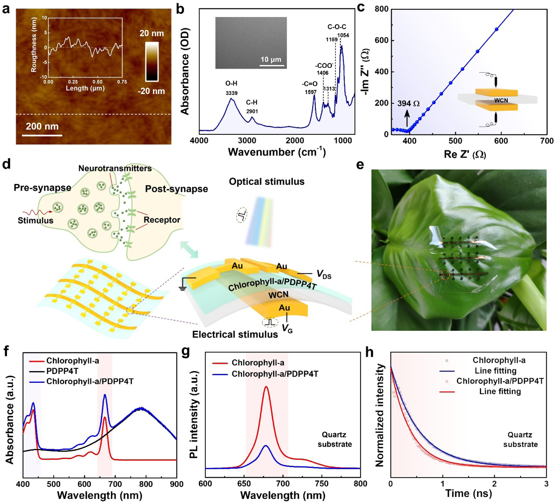 Frontiers  Synaptic Plasticity in Memristive Artificial Synapses