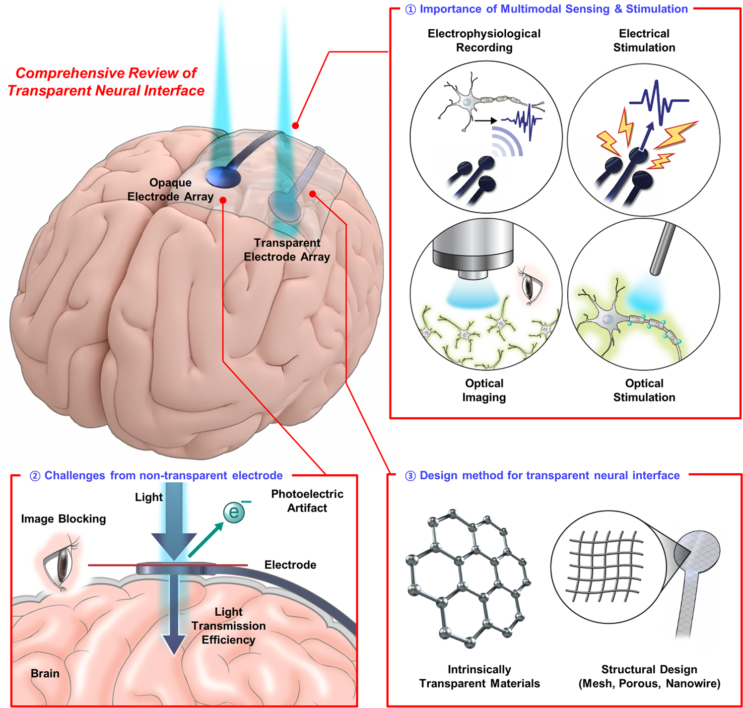 AI-integrated multiplexed optical fiber sensor for dynamic brain