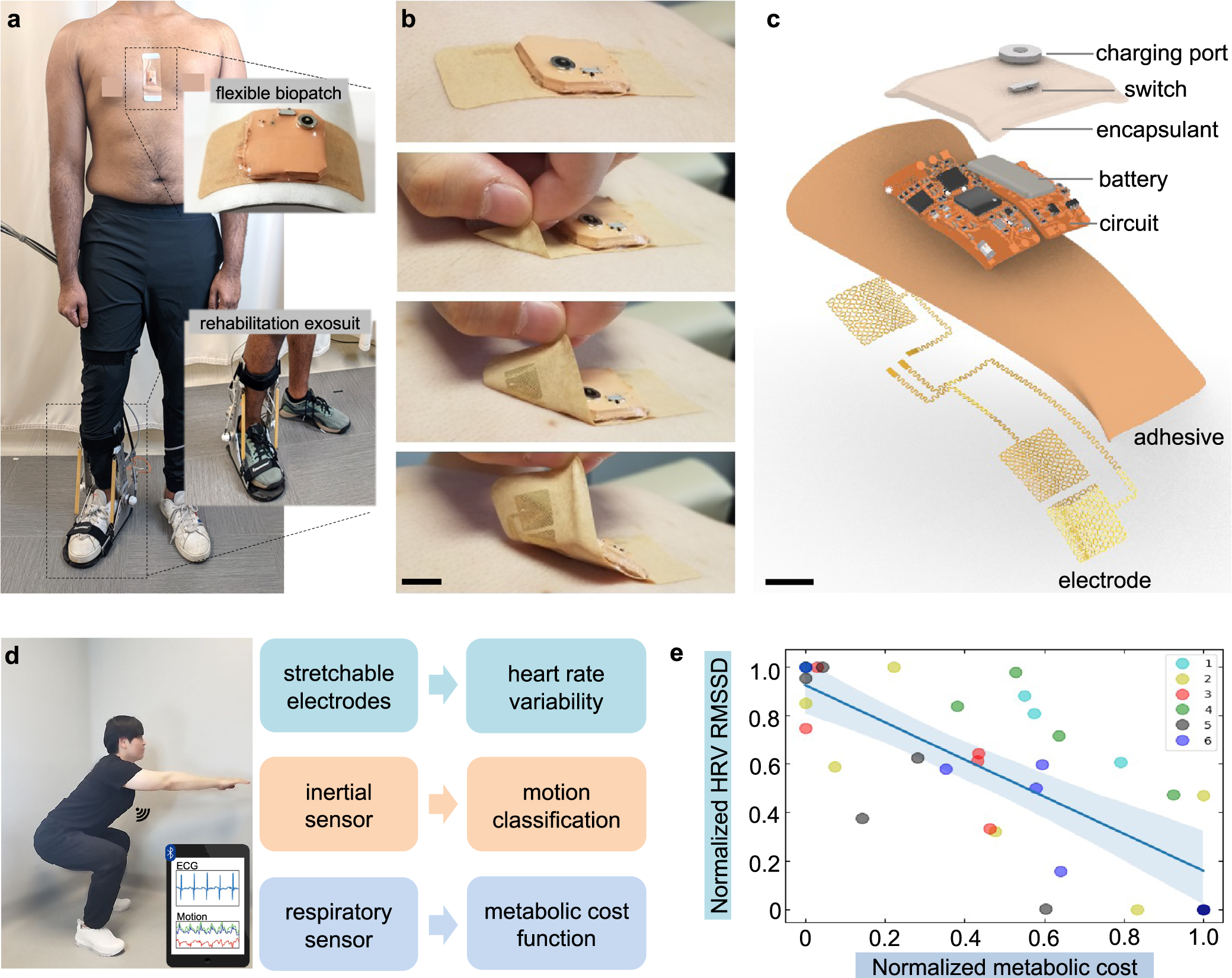 Soft wearable flexible bioelectronics integrated with an ankle-foot  exoskeleton for estimation of metabolic costs and physical effort