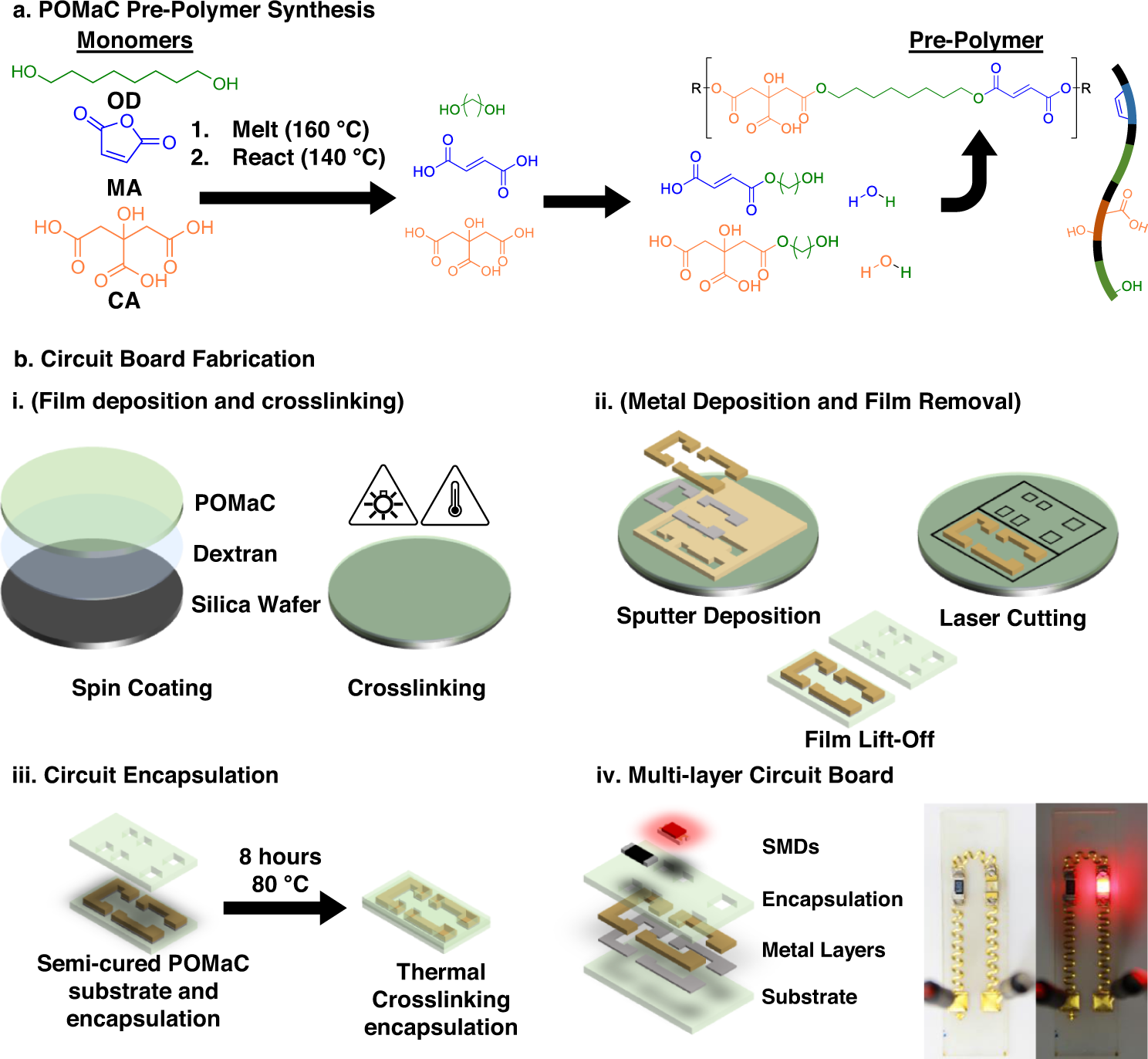 Biodegradable elastomeric circuit boards from citric acid-based polyesters  | npj Flexible Electronics