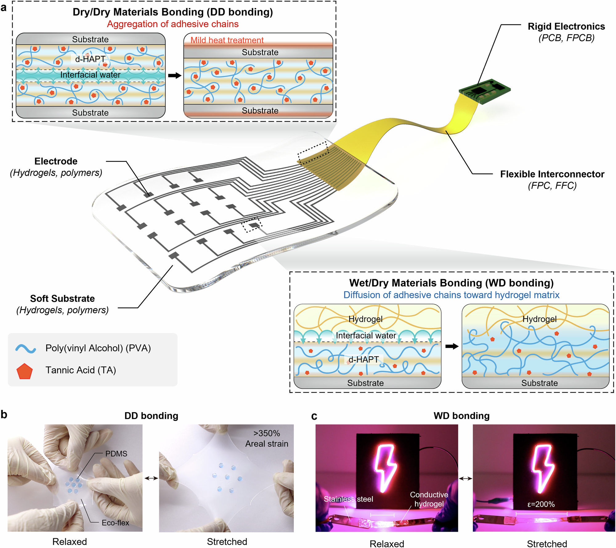 Universal hydrogel adhesives with robust chain entanglement for 