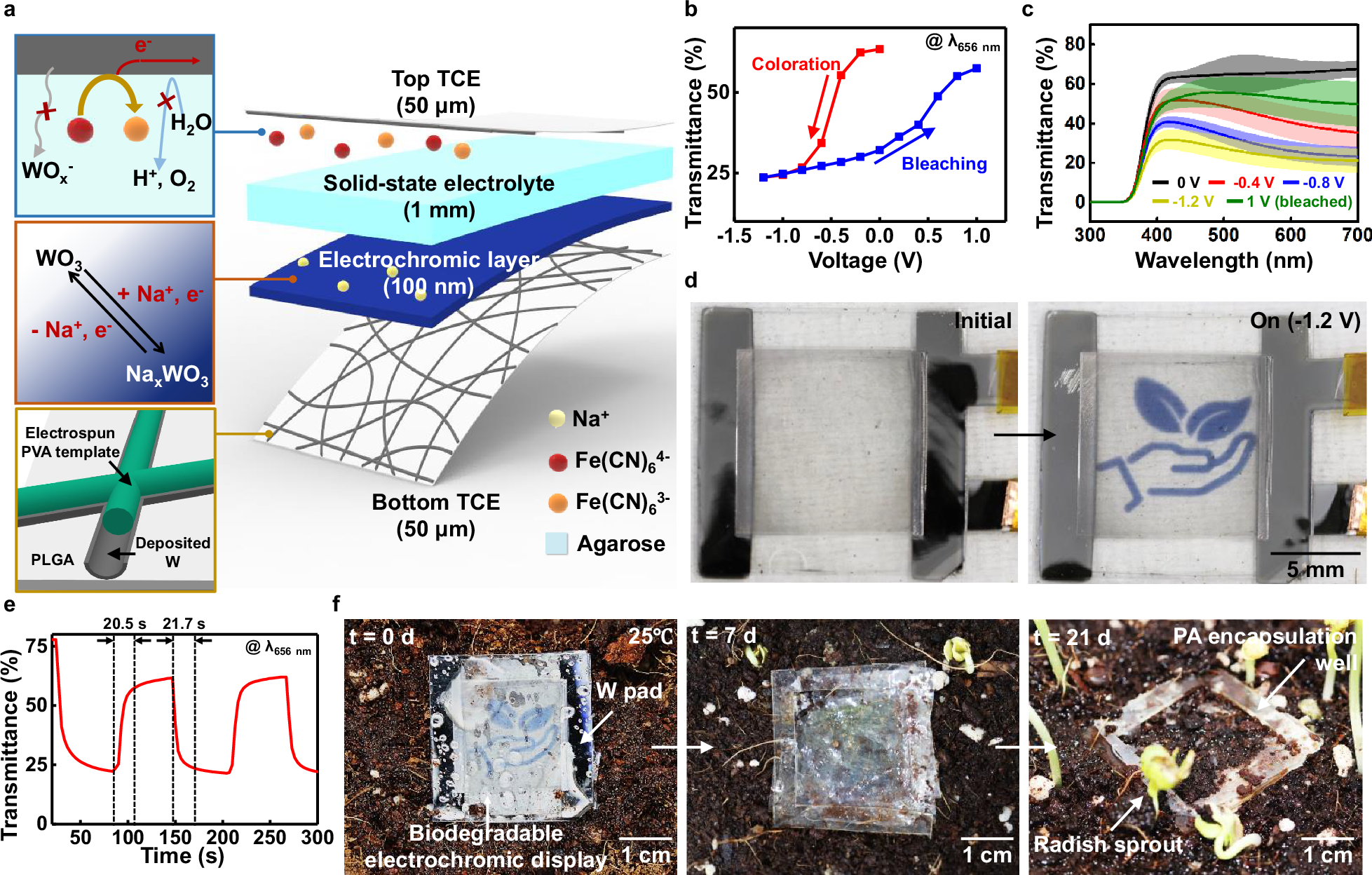 Fig. 4: Structure, optical properties, and degradation of the BECD with 45 s-electrospun W/PLGA (~75%T and ~ 890 Ω sq–1).
