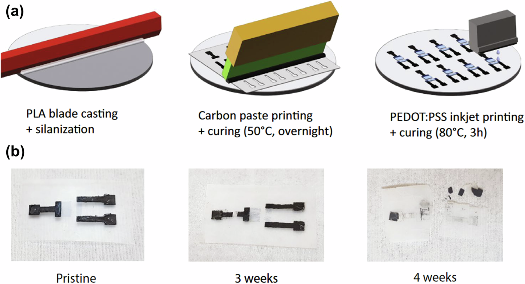 Fig. 7: Biodegradable/biocompatible OECT-based glucose sensors.