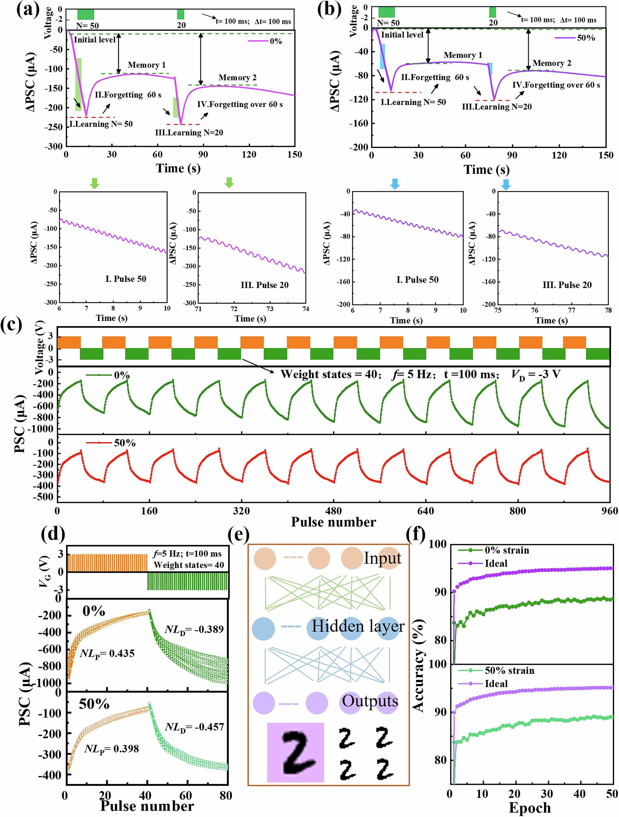 Fig. 3: Brain-inspired behaviors and neural morphology simulation of the s-OOSTs under electrical pulse stimulation.