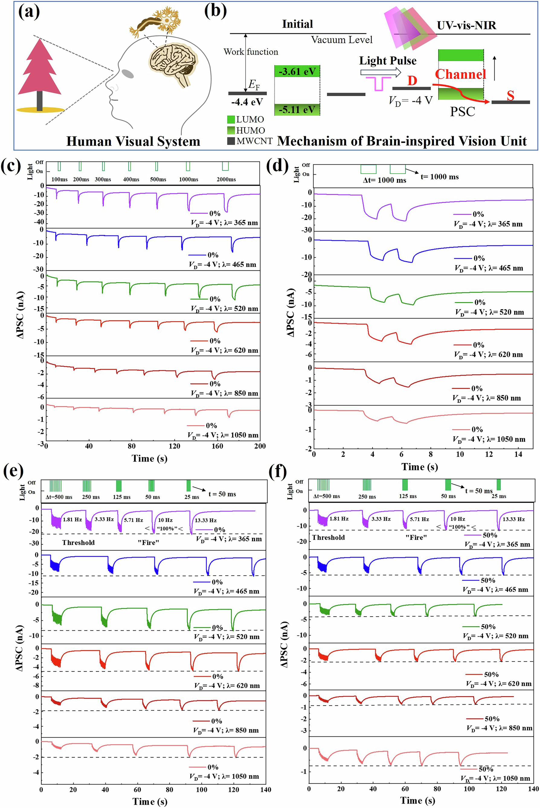 Fig. 4: Principle of photo synapse and synaptic performance under photo stimulation of the s-OOST.