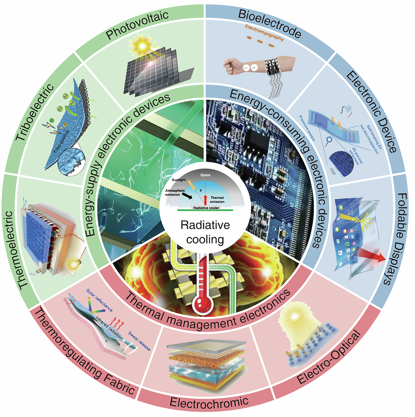 Fig. 1: A schematic illustration outlining the overall structure of this review.
