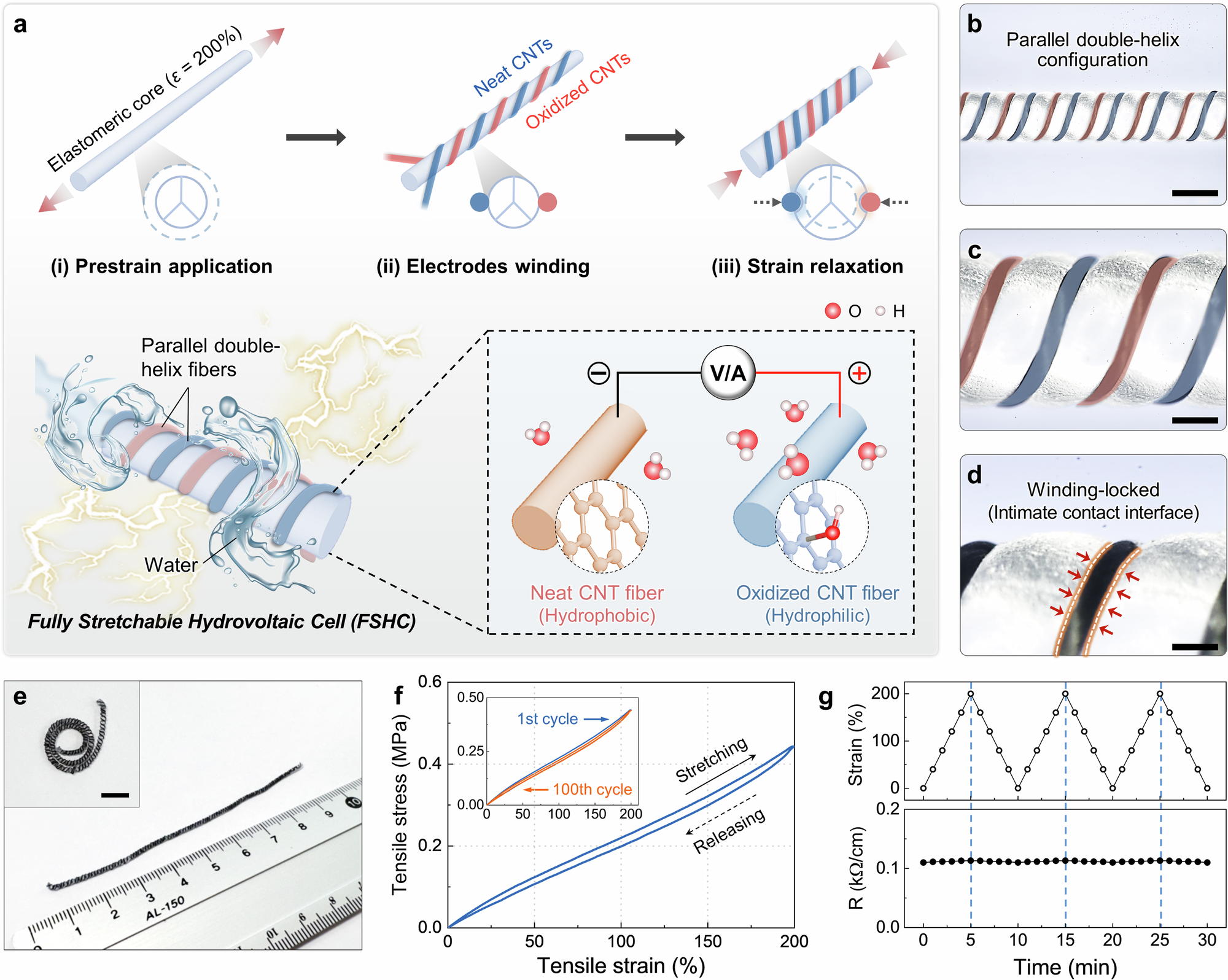 Fig. 1: Design and structural characteristics of the fully stretchable hydrovoltaic cell (FSHC) based on carbon nanotube (CNT) fibers.