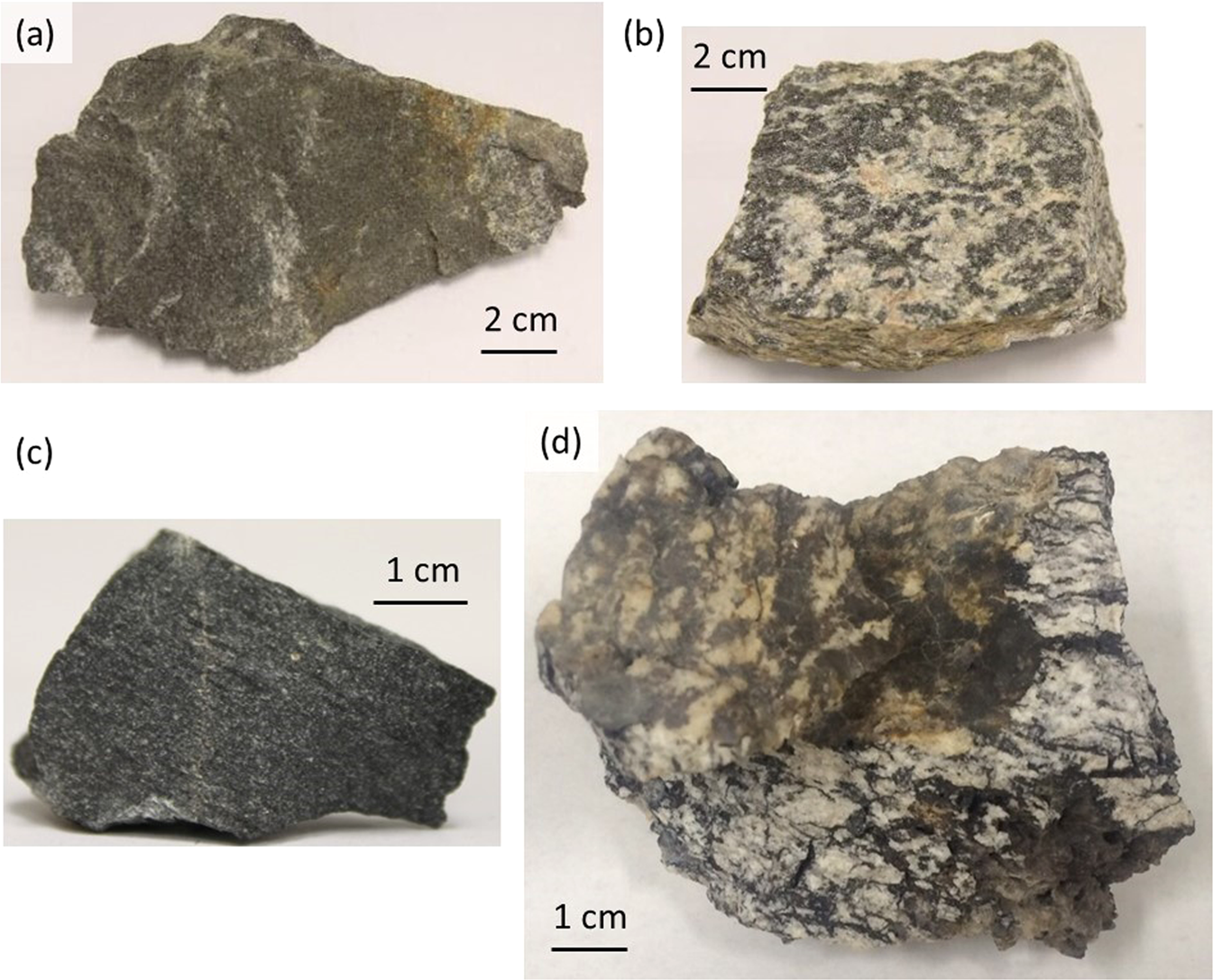 chief ore of tungsten sandra bullock raspberry chief ore of tungsten sandra bullock raspberry