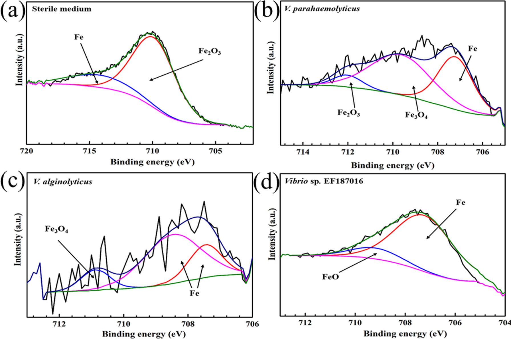 Fig. 5: Fe 2p fine XPS spectra of X80 coupons after 14 d.