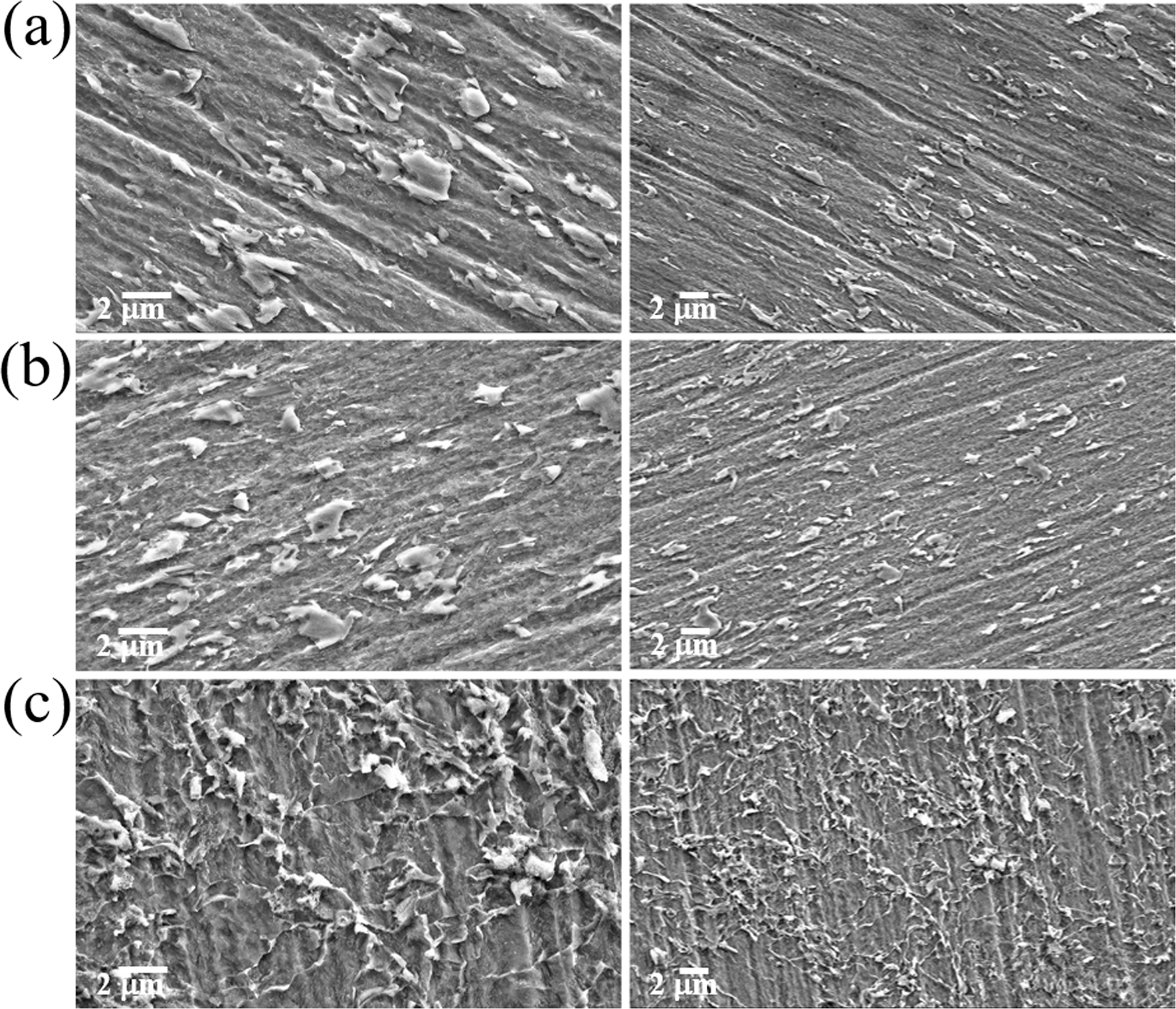 Fig. 6: FESEM images of Vibrio sp. EF187016 EPS on the X80 CS surfaces.