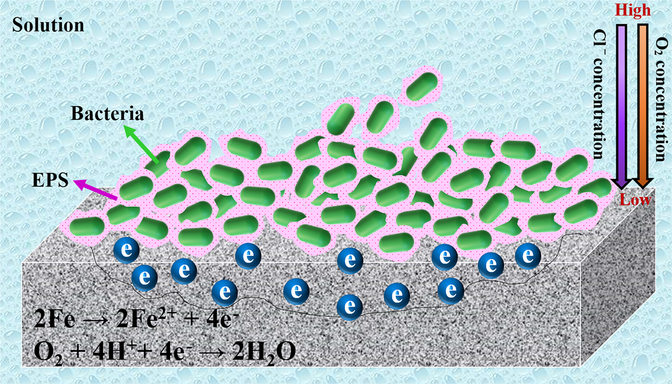 Fig. 9: MICI mechanism of X80.