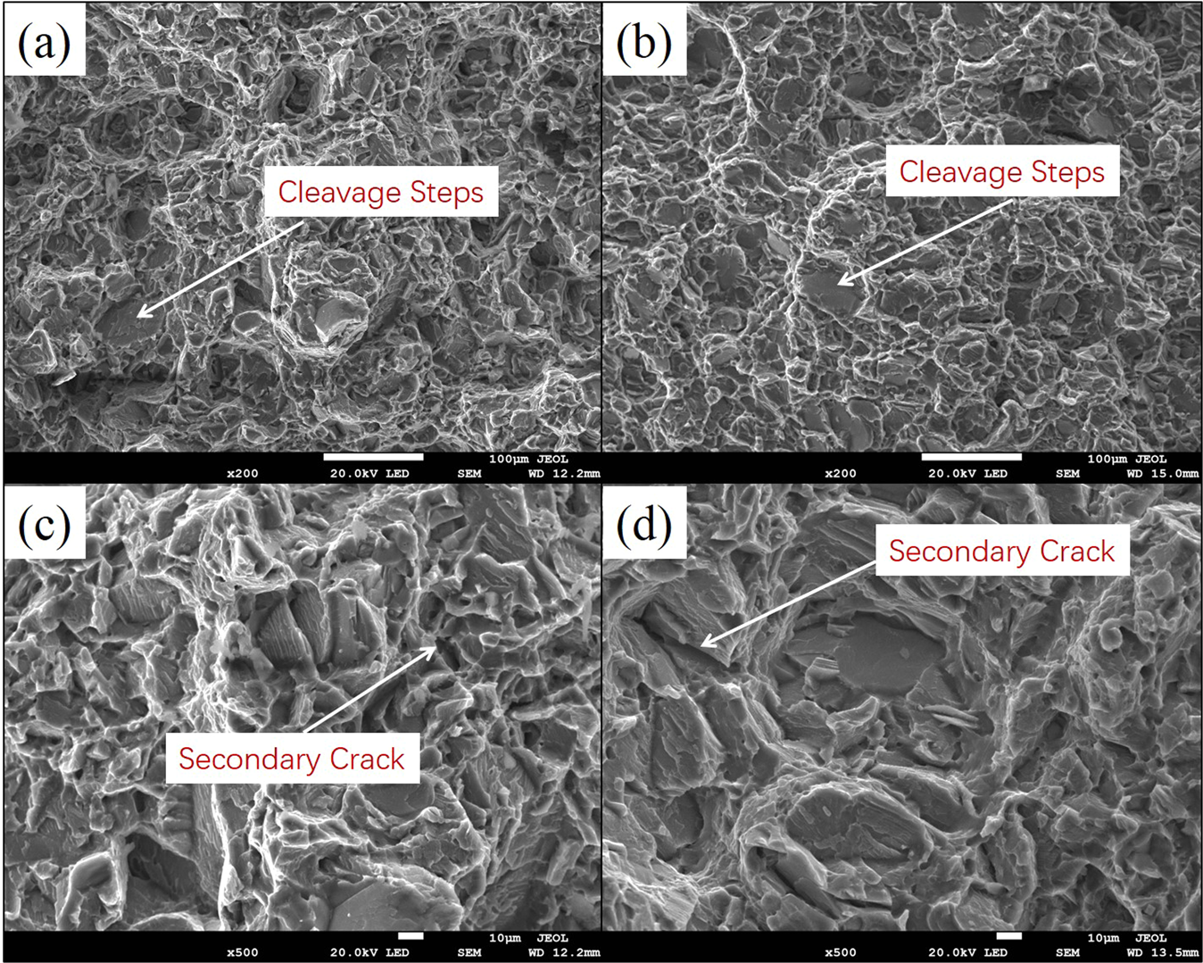 Fig. 7: The fracture morphologies after exposure corrosion.
