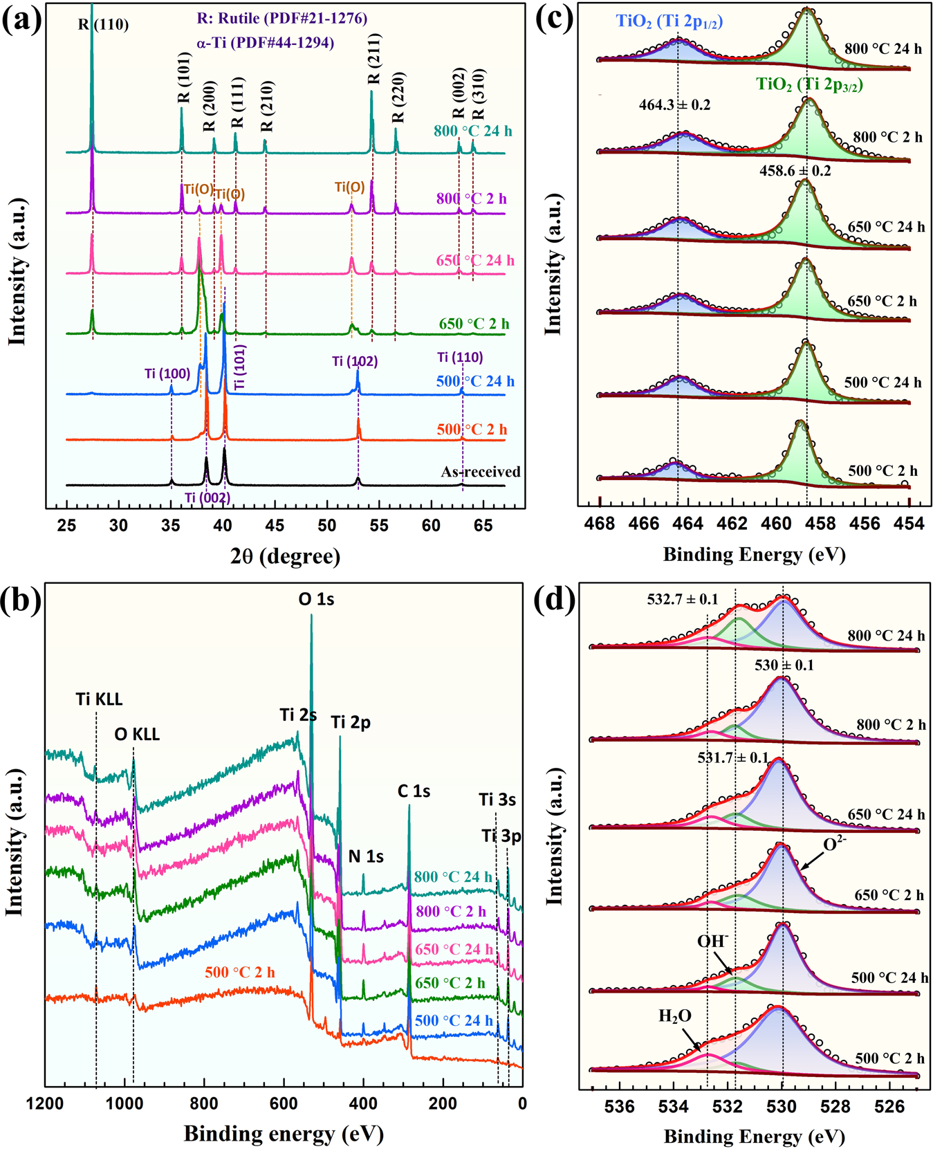 Fig. 2: XRD and XPS spectra of the thermal oxide film formed on pure Ti.