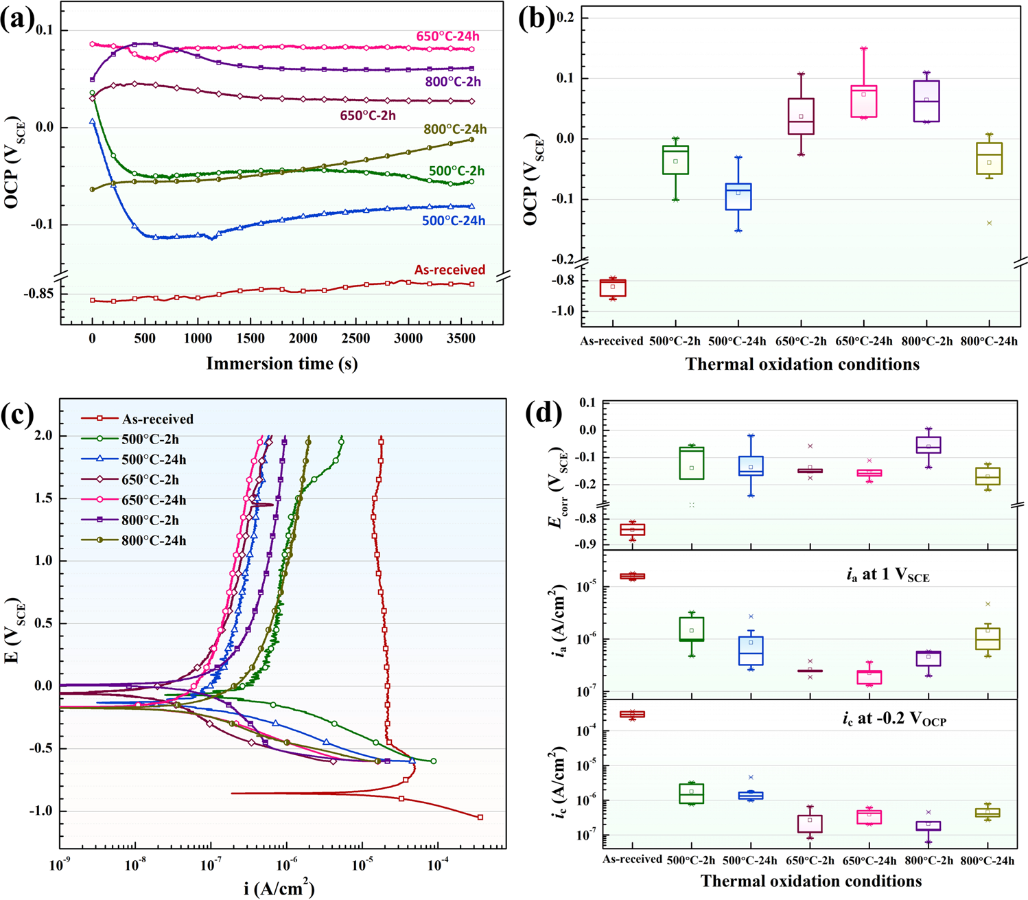 Fig. 4: OCP and potentiodynamic polarization of the as-received and thermally oxidized pure Ti in the simulated condensates.