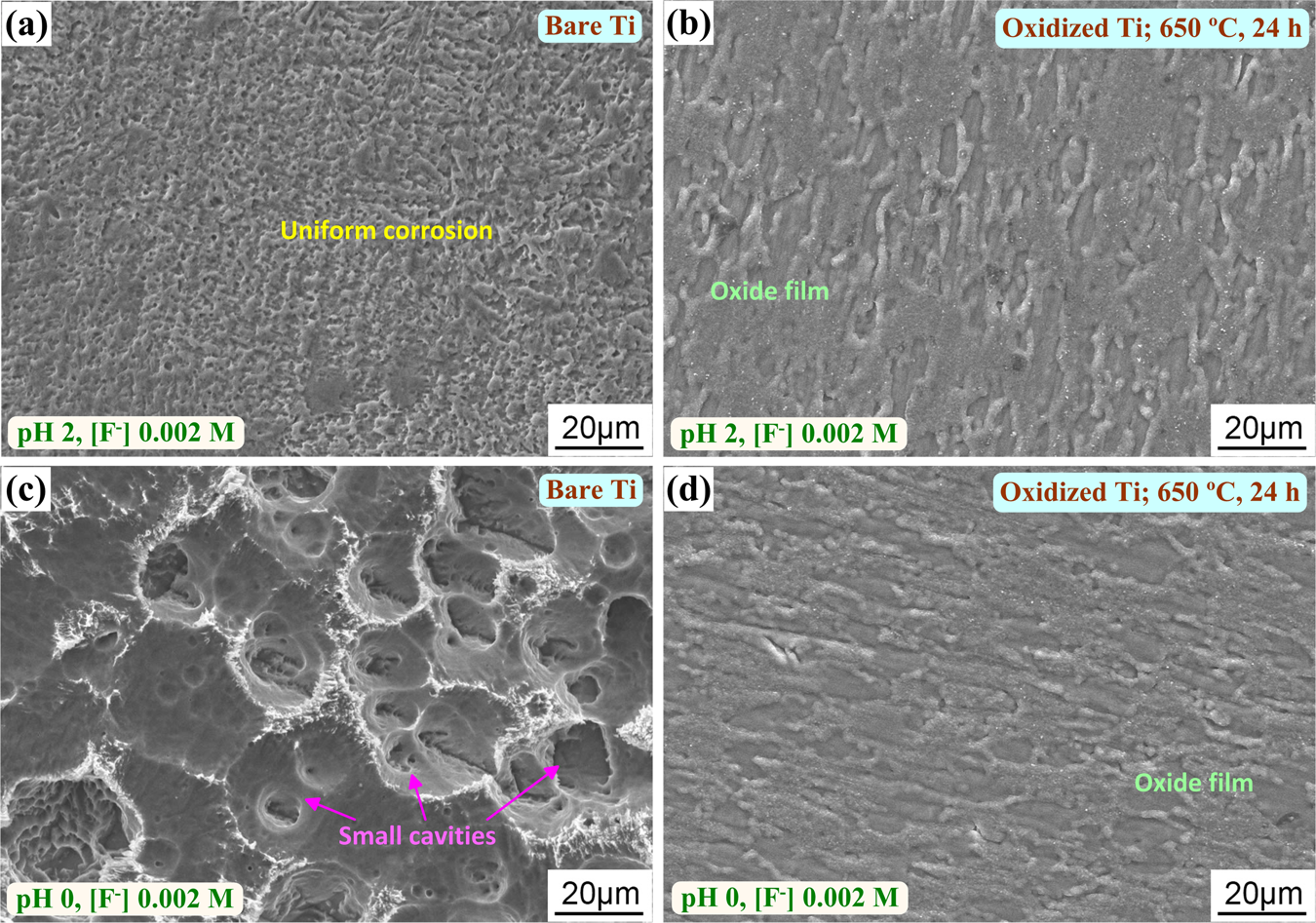 Fig. 8: Corrosion morphologies after immersion in the H2SO4 solutions containing 0.002 M fluoride for 24 h.