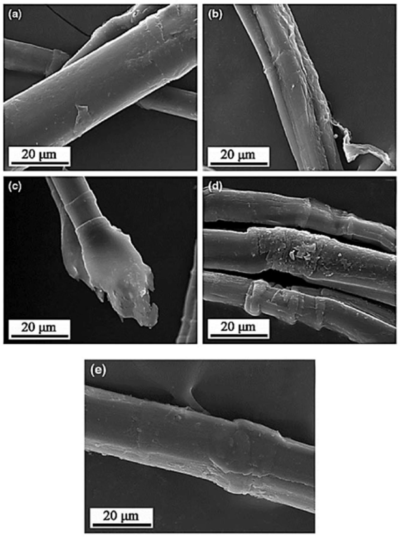 Fig. 13: Morphological changes using various treatment methods.