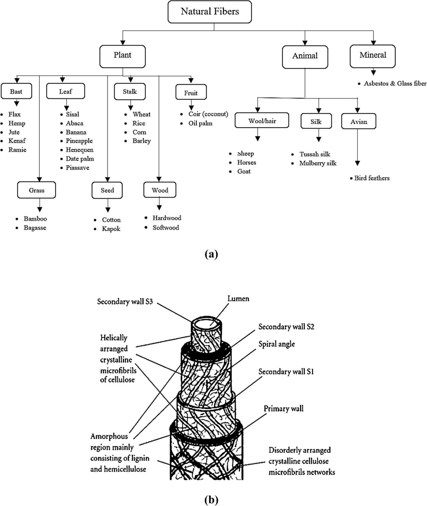 Fig. 6: Natural fibers.