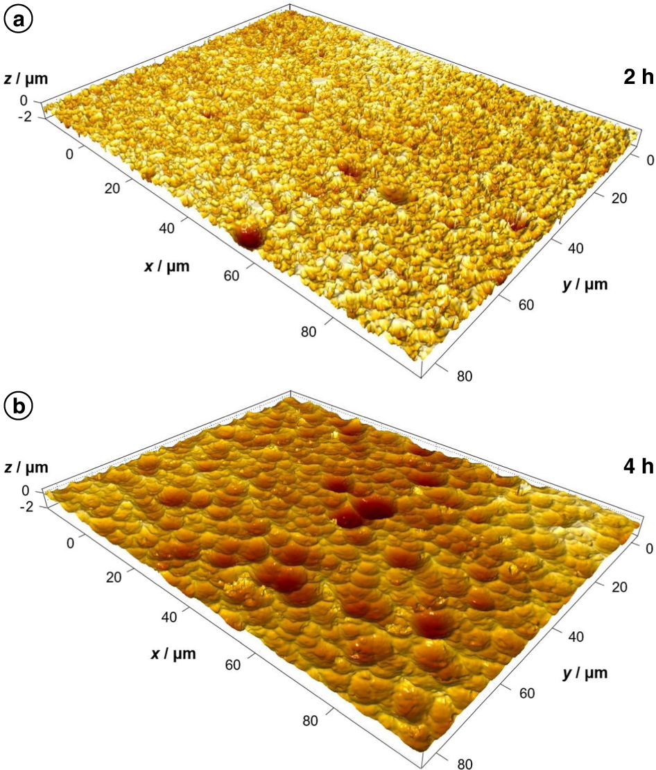 Fig. 5: High-resolution images of PET films after reaction times of 2 and 4 h.
