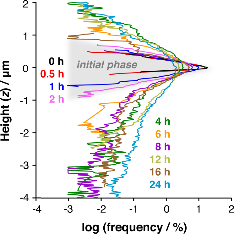 Fig. 6: Histograms of height distributions for PET film surfaces after reaction times from 0 to 24 h.