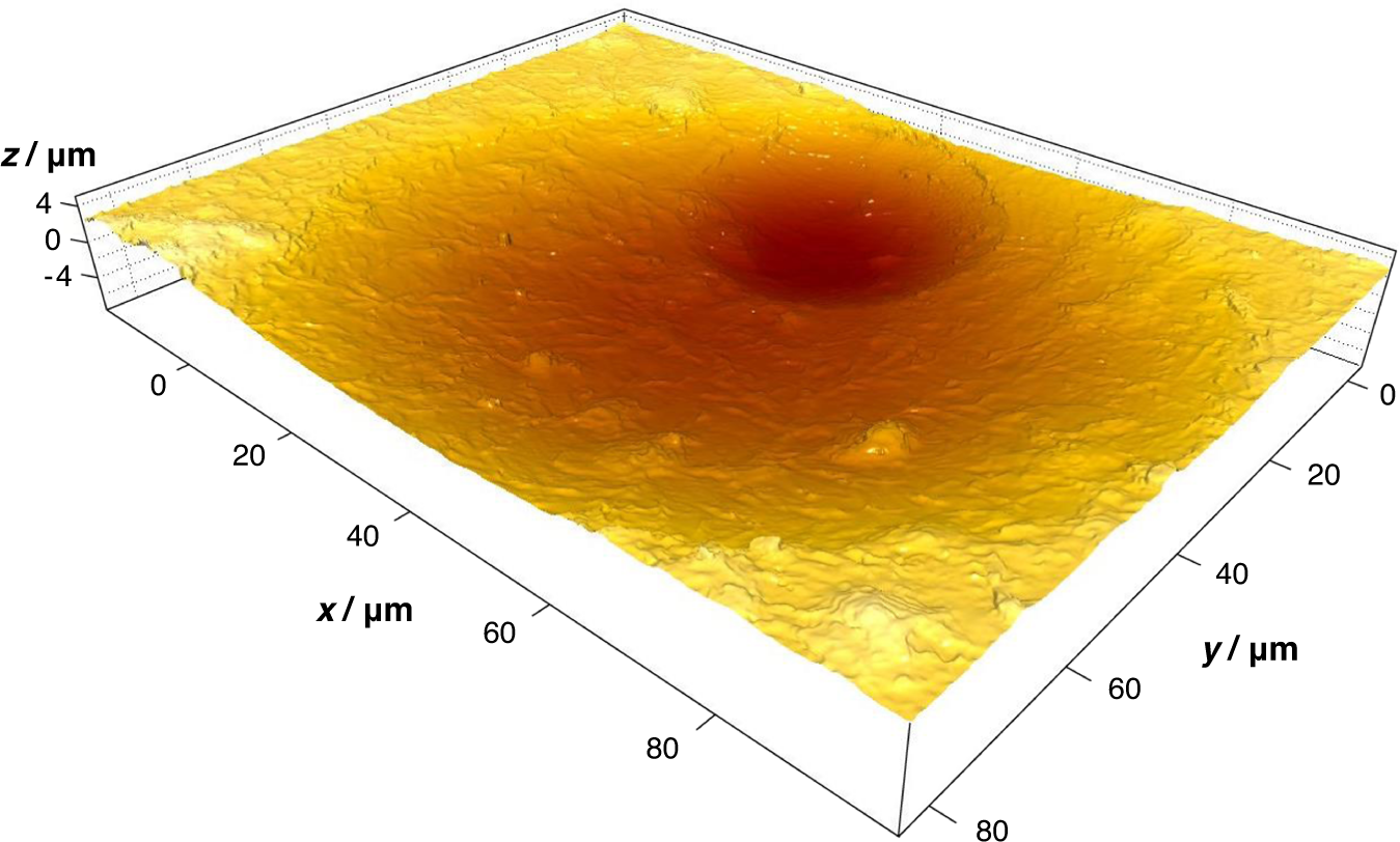 Fig. 7: High-resolution surface detail of a PET film reacted for 24 h.