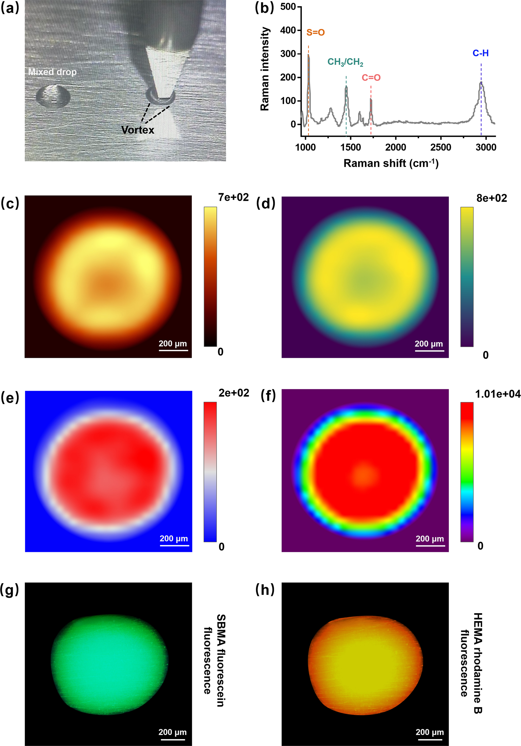 Fig. 3: The homogeneity proving of hydrogel coating spots.