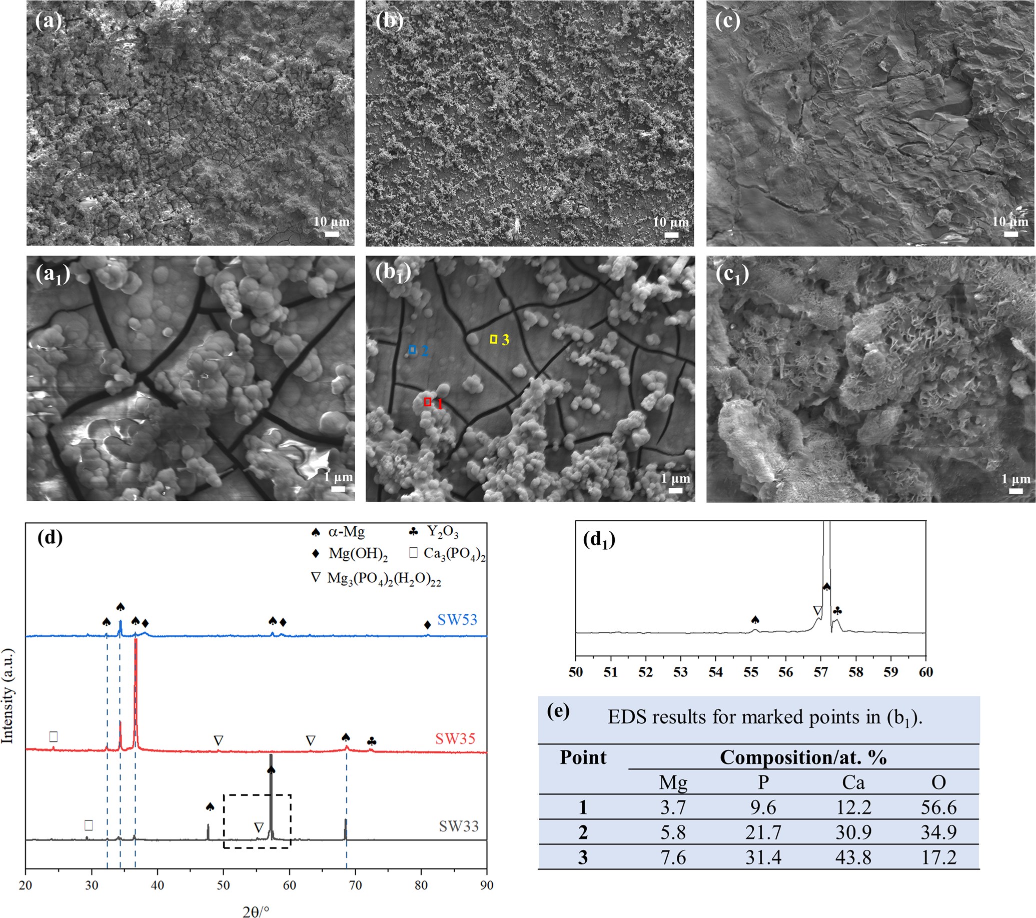 Fig. 7: Surface morphology of SW alloys immersed in Hanks’ solution for 72 h.