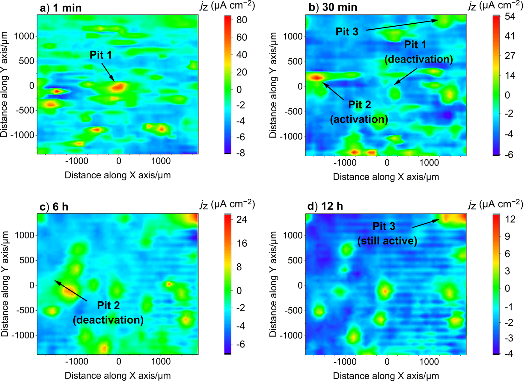 Fig. 1: SVET maps of AA2024 in NaCl.