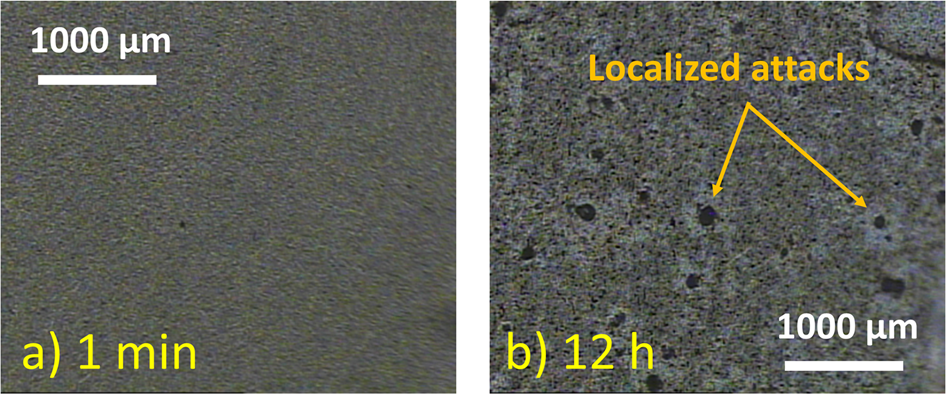 Fig. 2: Optical micrographs of AA2024 in NaCl.