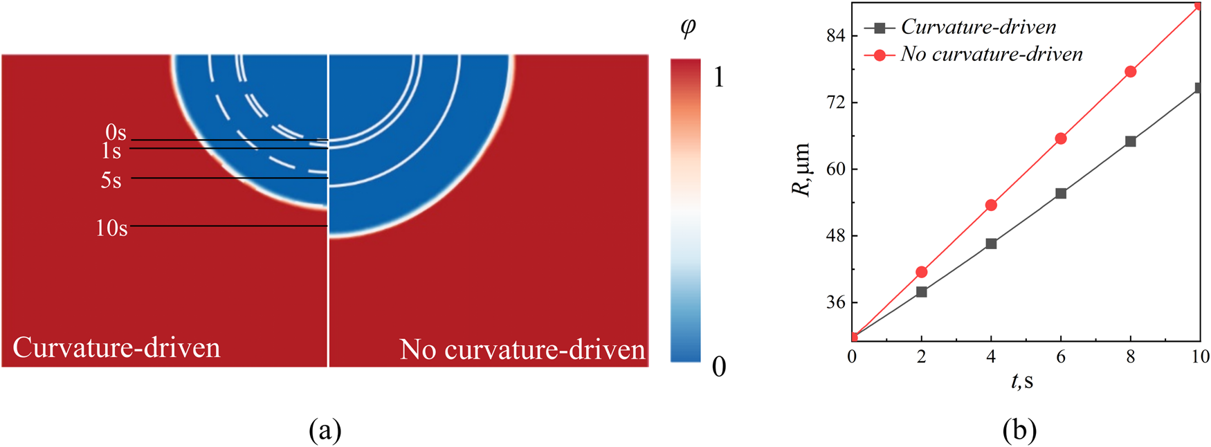 Fig. 5: Comparison of the evolution of semicircular pits for curvature-driven interface motion and no curvature-driven interface motion.