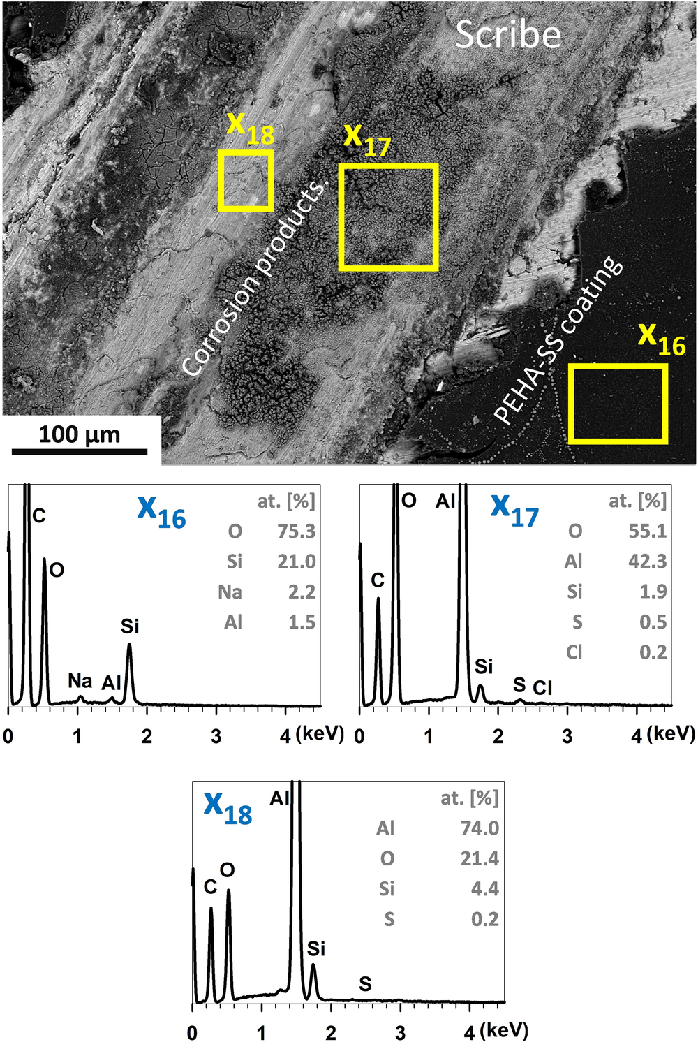 Fig. 11: Circular backscatter electron (CBS) SEM image of the scribe made at the polyacrylic/siloxane-silica-coated AlSi7Mg0.3 sample taken after two days of exposure in the salt spray chamber.