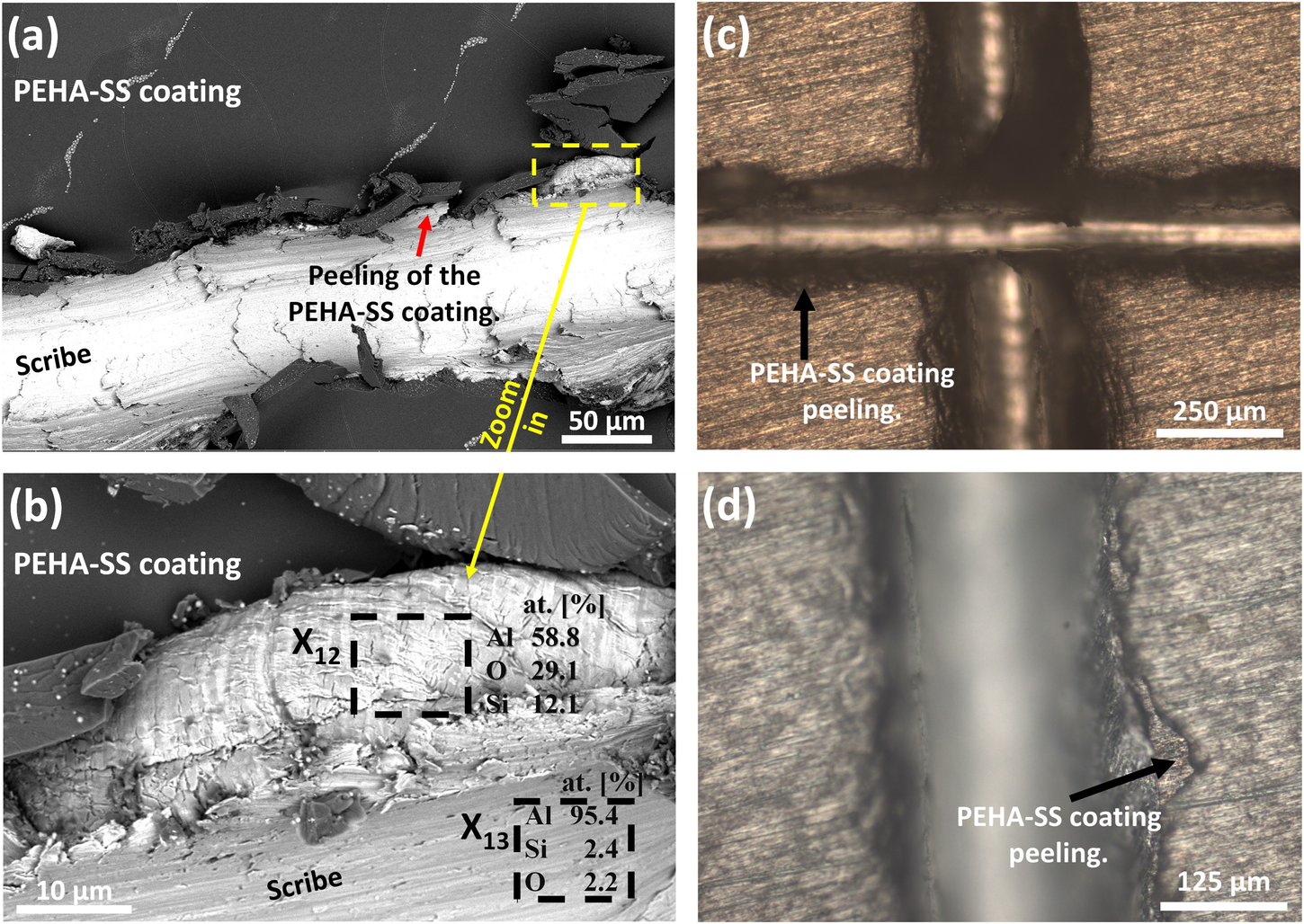 Fig. 6: SEM images and adhesion test of PEHA-SS-coated AlSi7Mg0.3 samples.