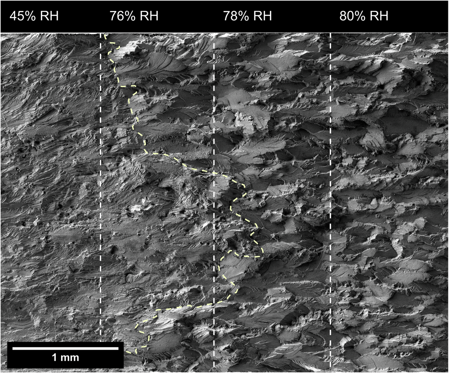 Fig. 8: Composite SEM fractograph showing the wetting phase of the segmented humidity test shown in (Fig. 4).