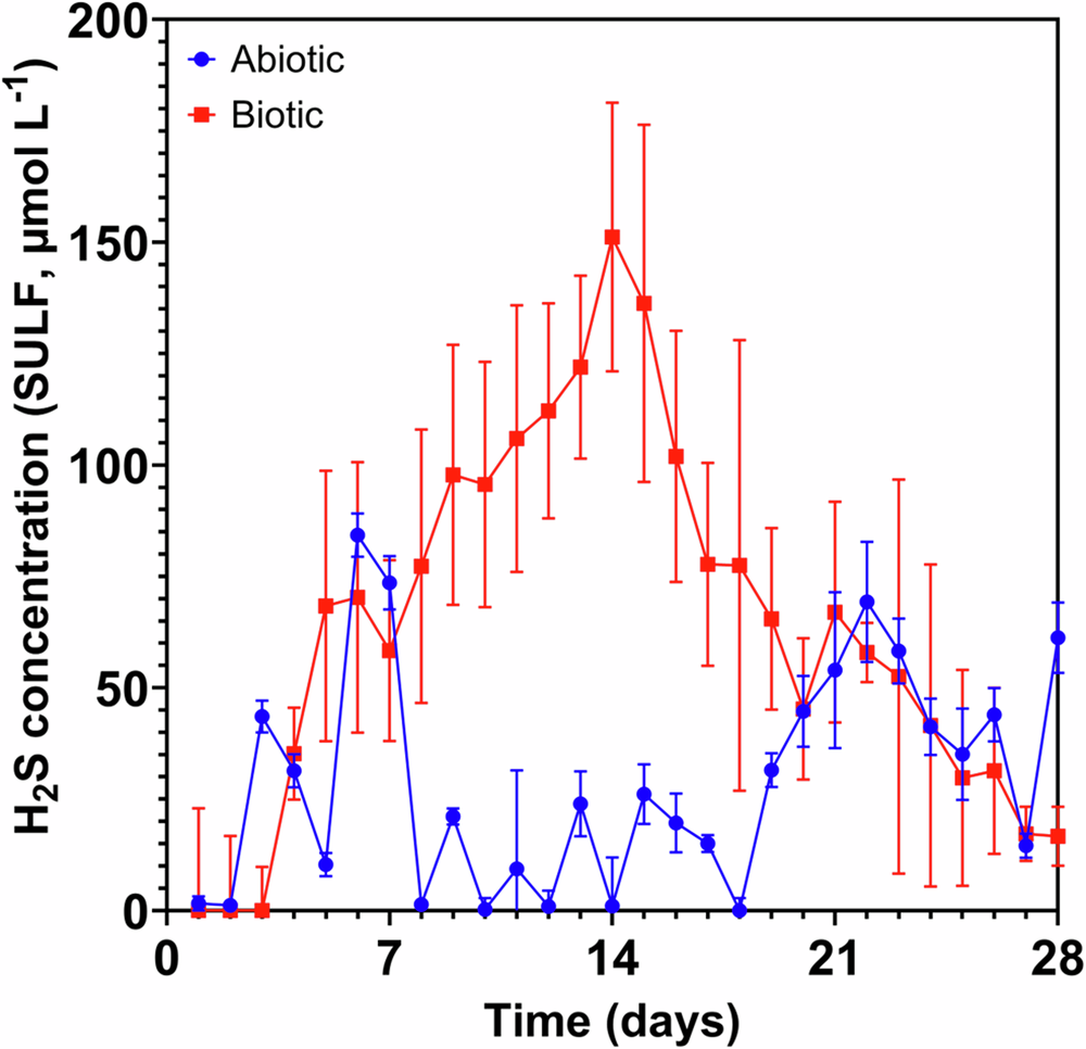 Fig. 1: Hydrogen sulfide concentrations over 28 days.