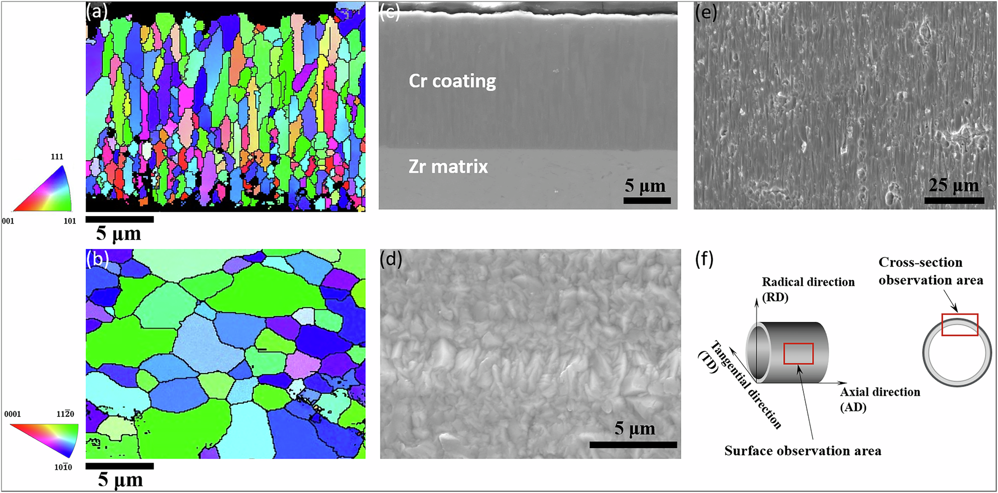 Short-term oxidation behavior of Cr-coated Zr-1Nb in severe 