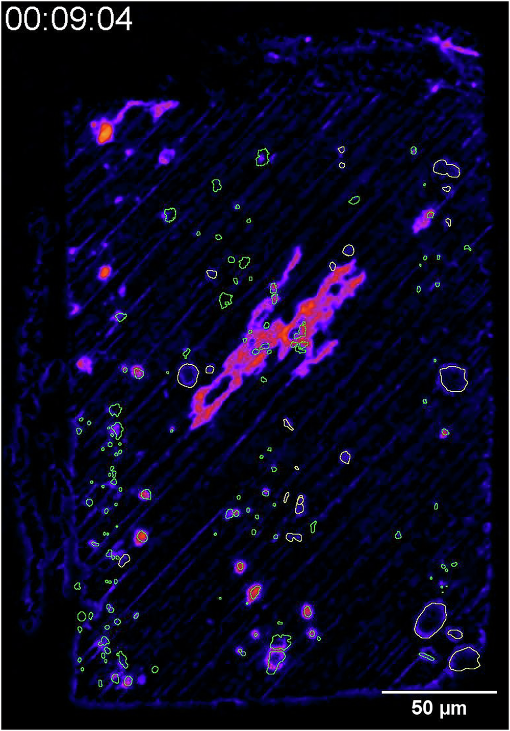 Fig. 3: Time-lapse video of local corrosion of roughly-polished AA7075 sample.