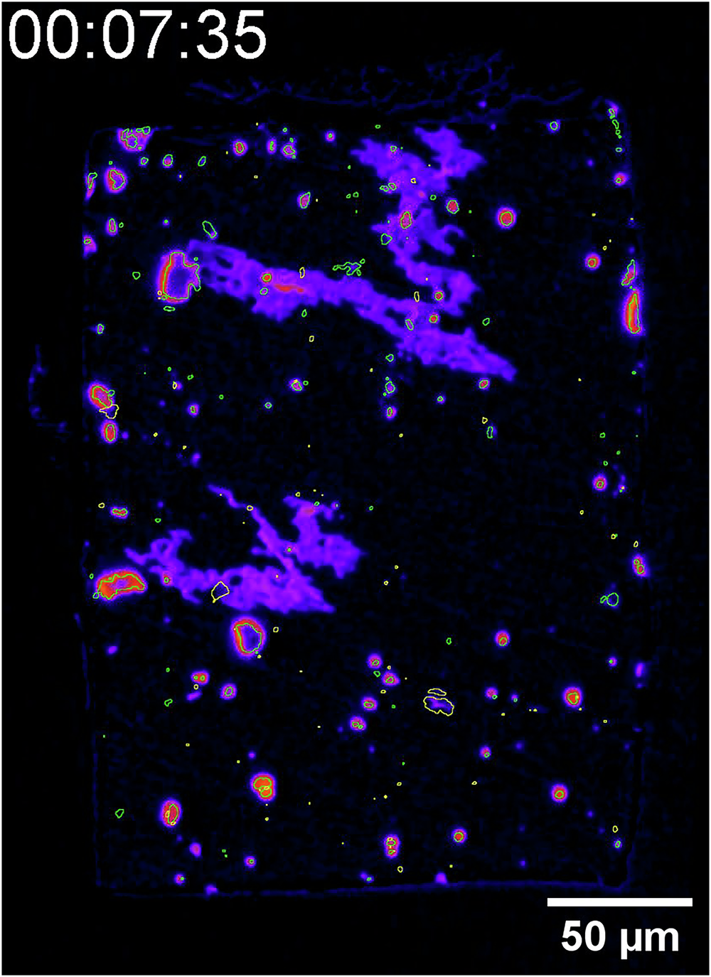 Fig. 7: Time-lapse video of local corrosion of smoothly-polished AA7075 sample.