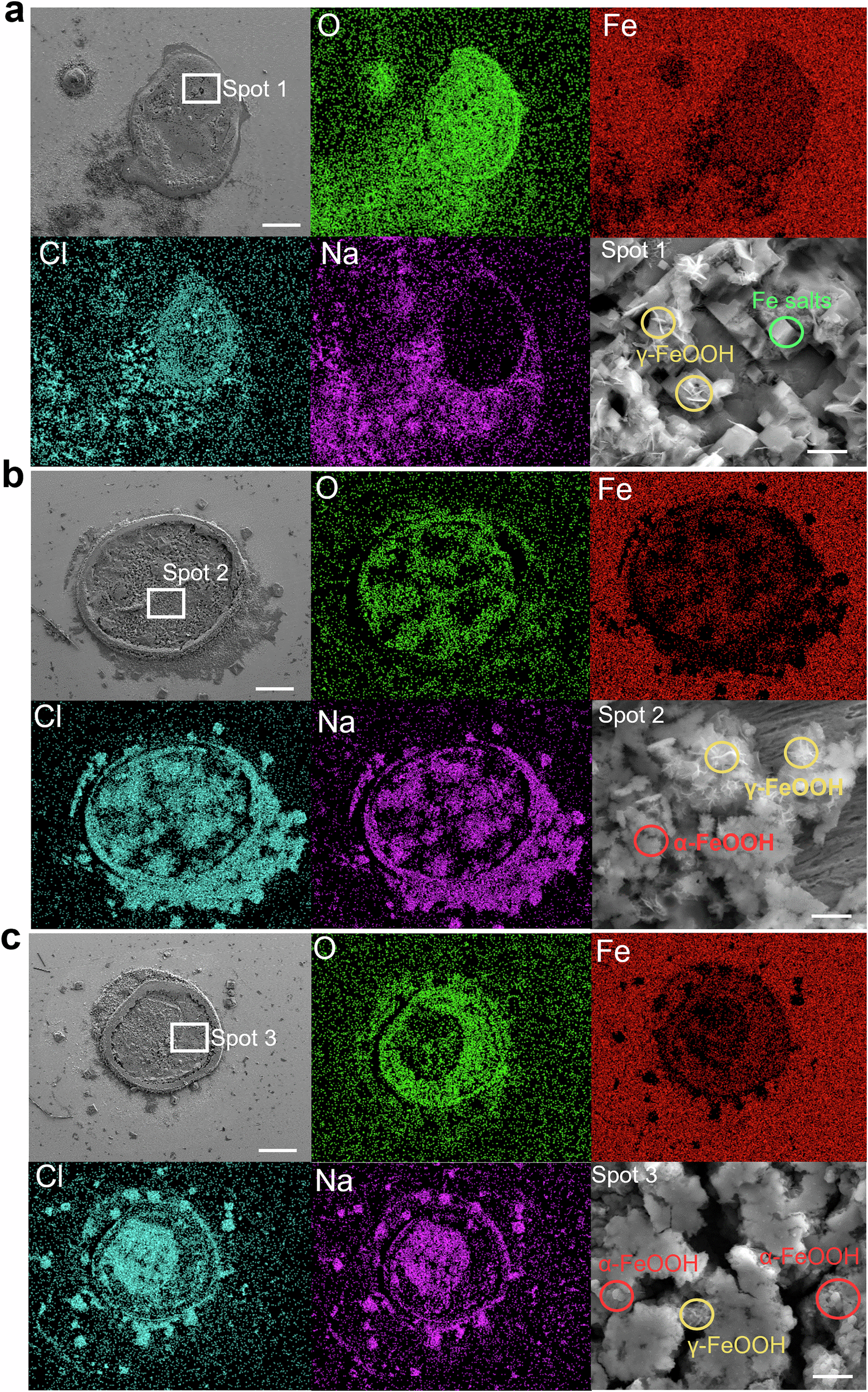 Fig. 8: SEM and EDS results of the corrosion sites in 4 wt.% NaCl droplets with different pH value.