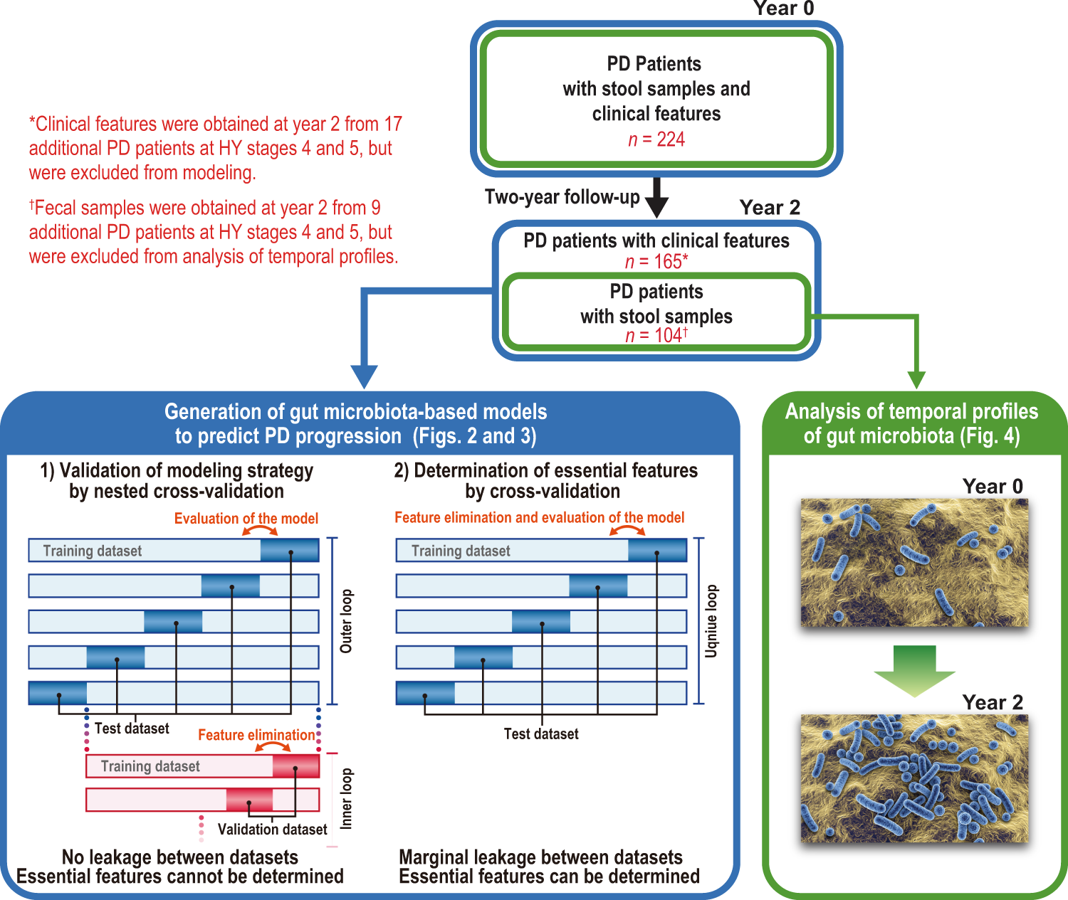 Fiber deprivation and microbiome-borne curli shift gut bacterial  populations and accelerate disease in a mouse model of Parkinson's disease  - ScienceDirect