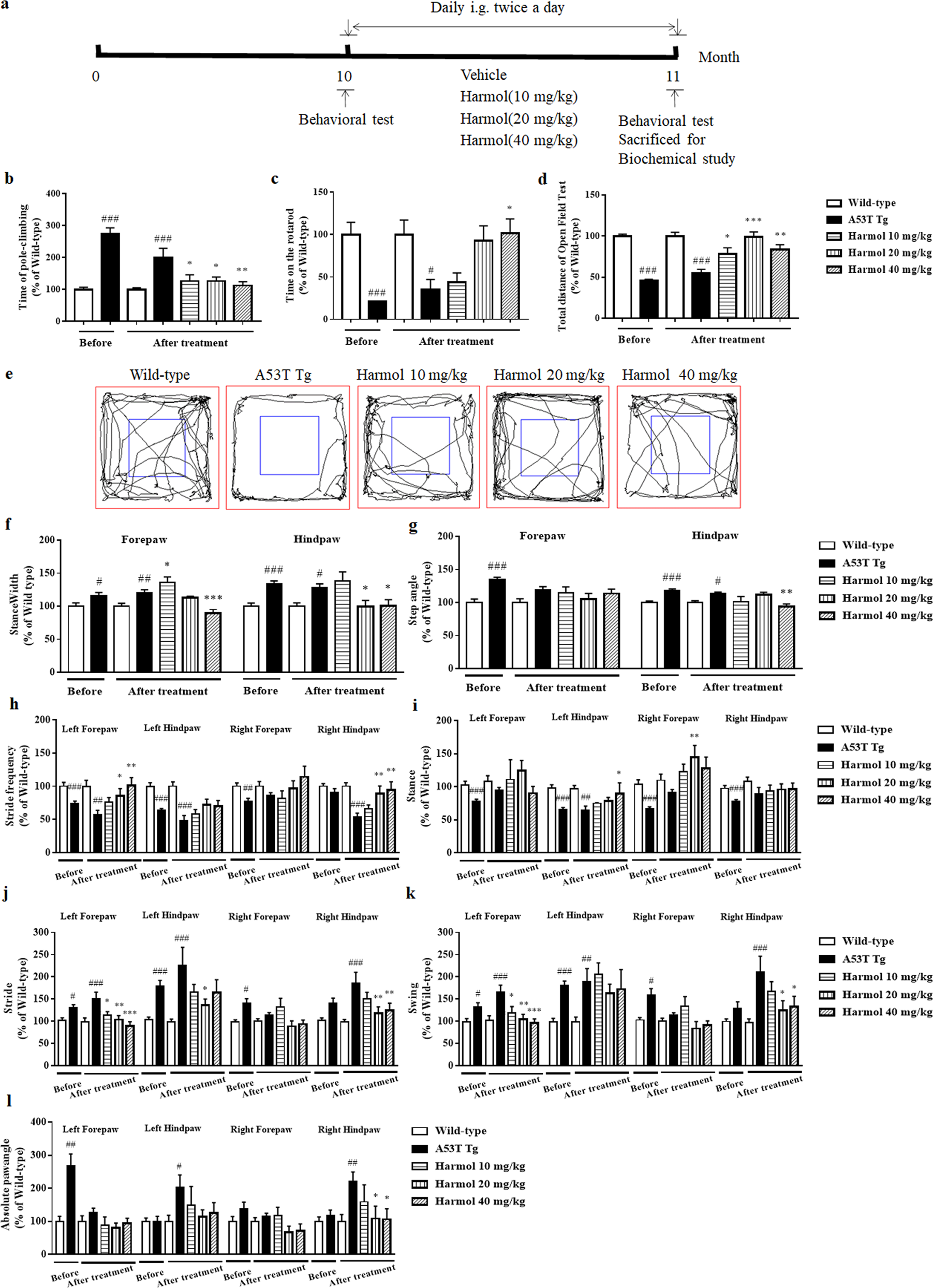 Fig. 5: Harmol rescues behavioral deficits in A53T α-syn mice.