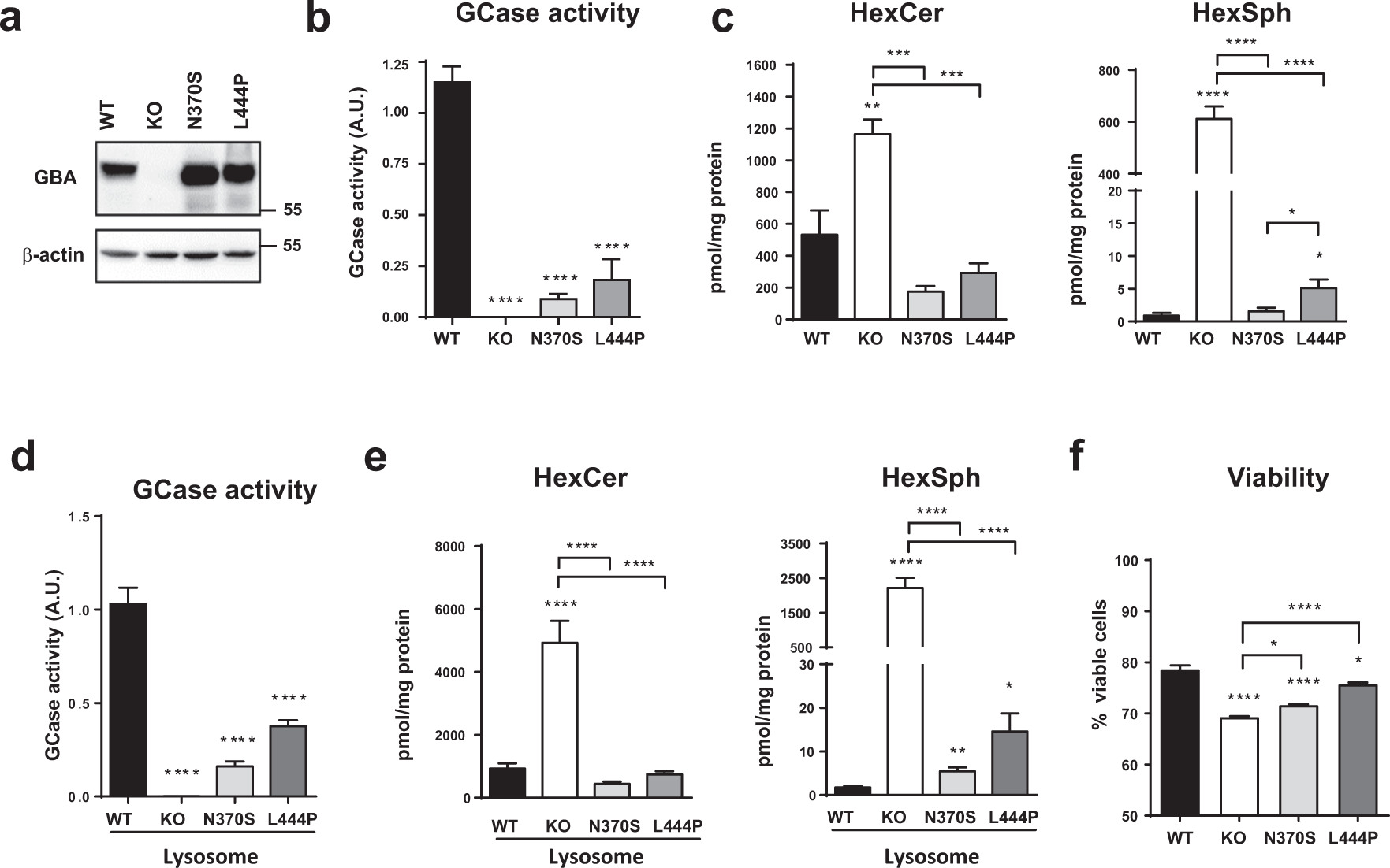 Lysosomal lipid alterations caused by glucocerebrosidase deficiency promote  lysosomal dysfunction, chaperone-mediated-autophagy deficiency, and  alpha-synuclein pathology | npj Parkinson's Disease