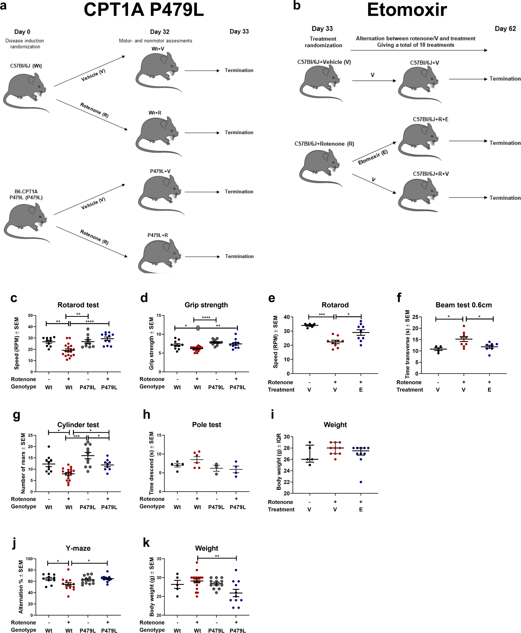 Fig. 1: CPT1A P479L mice show resistance to chronic rotenone-induced motor and non-motor impairment and downregulation of CPT1 activity using etomoxir ameliorates rotenone-induced motor impairment.