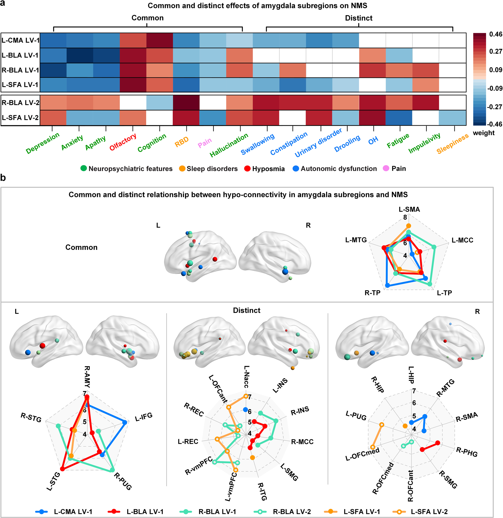 Fig. 4: Common and distinct relationship between hypo-connectivity in amygdala subregions with NMS.
