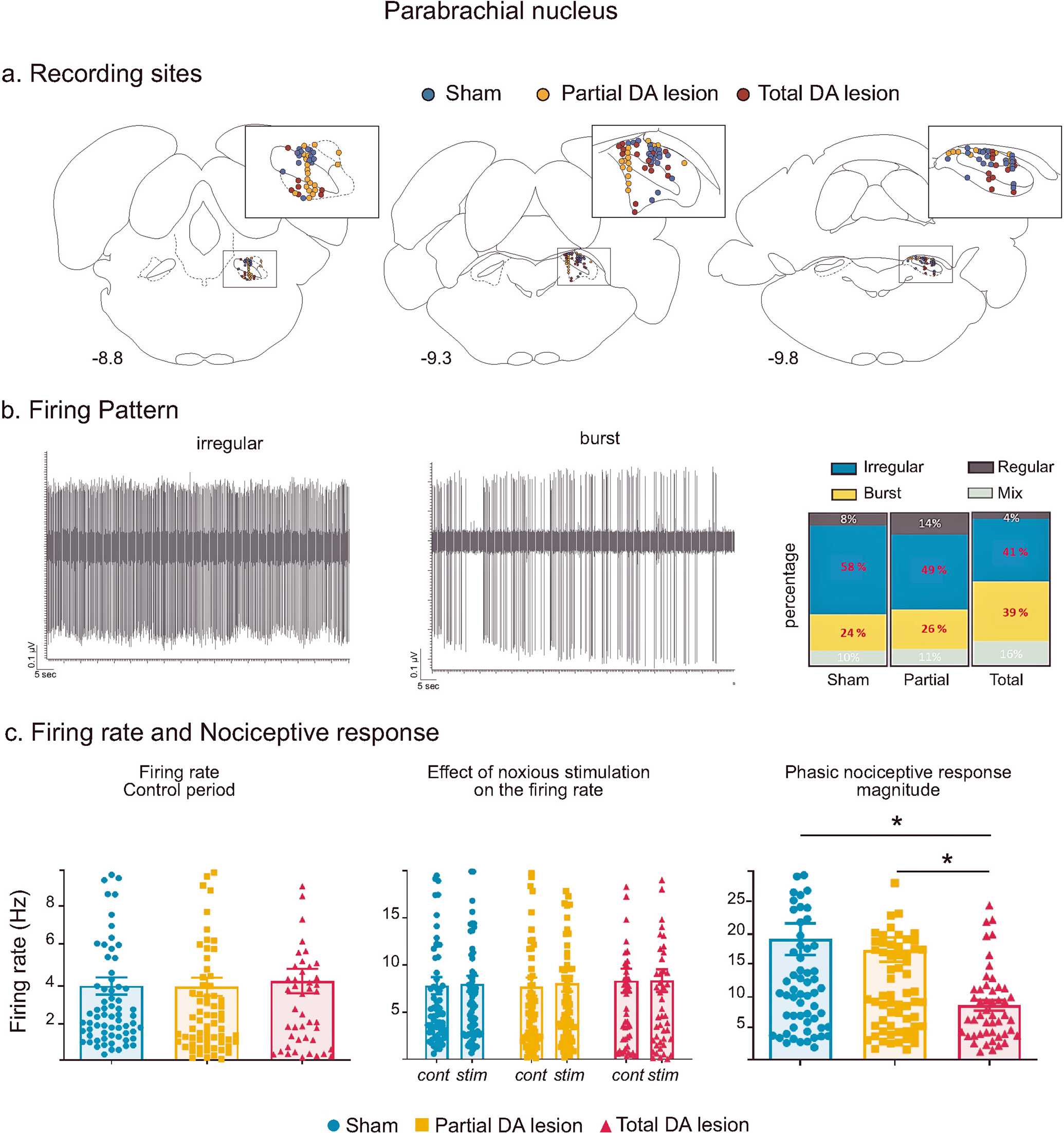 Fig. 3: Parabrachial nucleus histological and electrophysiological results.
