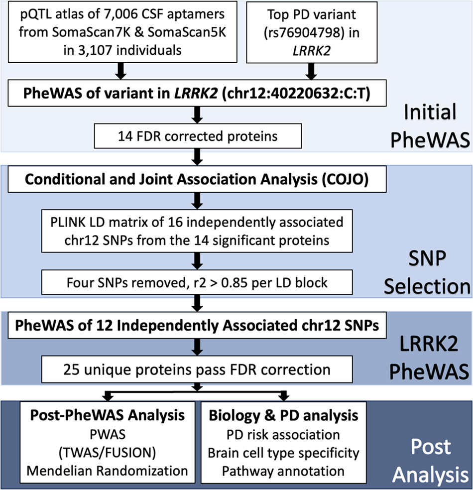 PP12 Final - asdasd - SCALABLE AND EFFICIENT BIOMARKER VISUALISATION  TECHNIQUES FOR EARLY-PHASE - Studocu